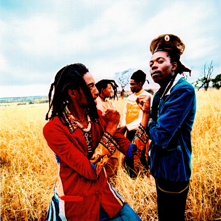 LAP-Kung-Fu-veld-2.jpg