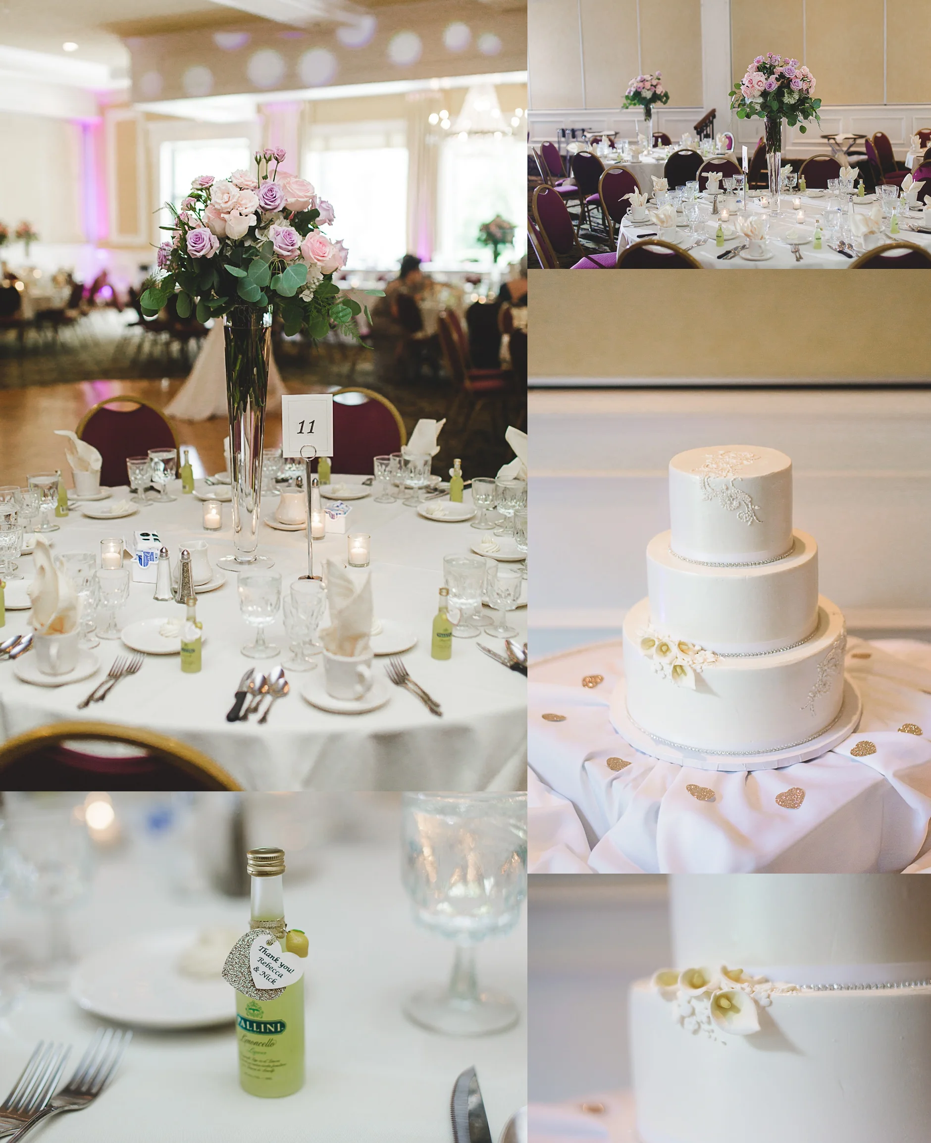 Buffalo NY Samuel's Grande Manor Wedding Photography