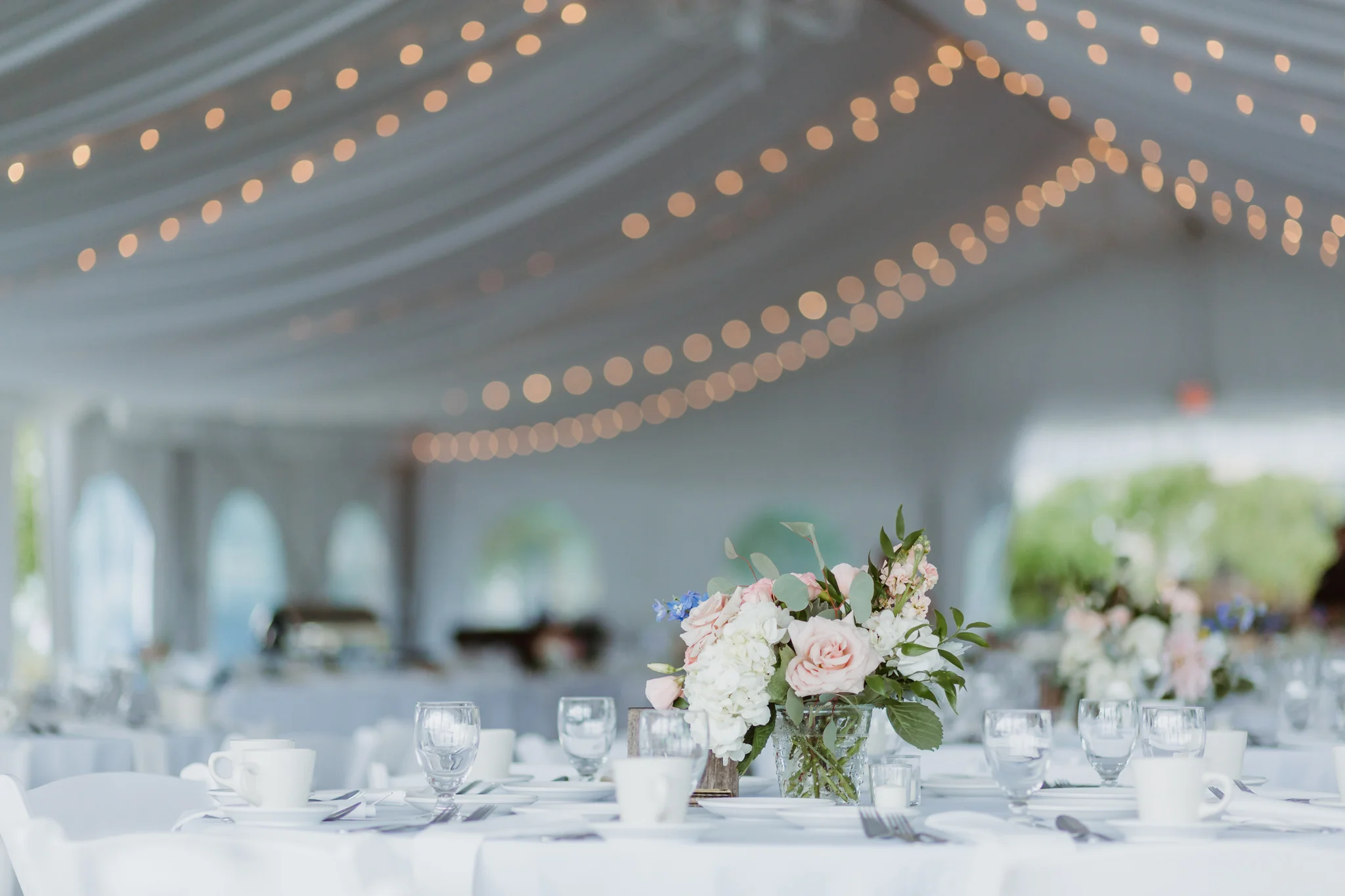 www.buffaloweddingphotographer.co