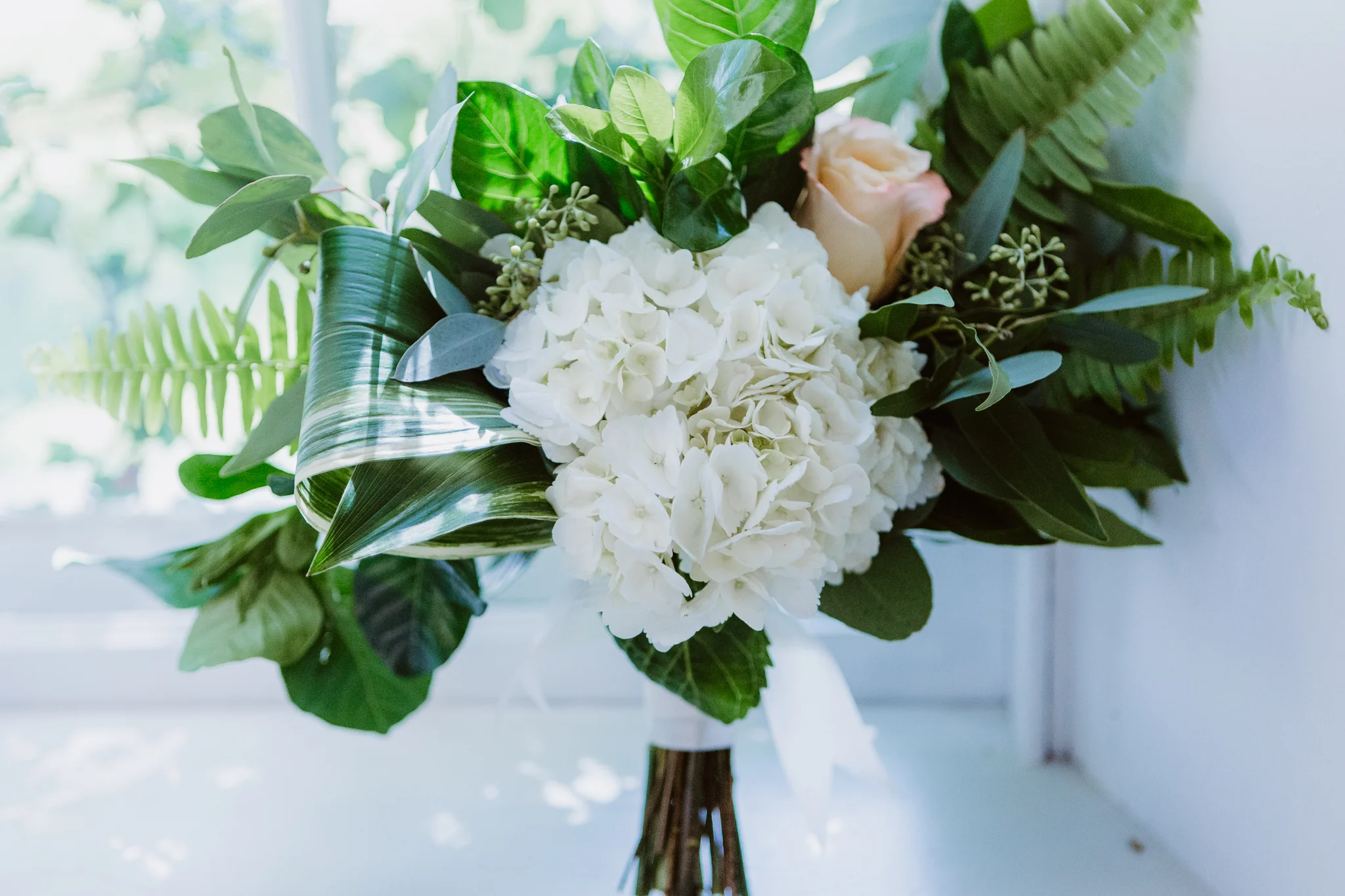 www.buffaloweddingphotographer.co