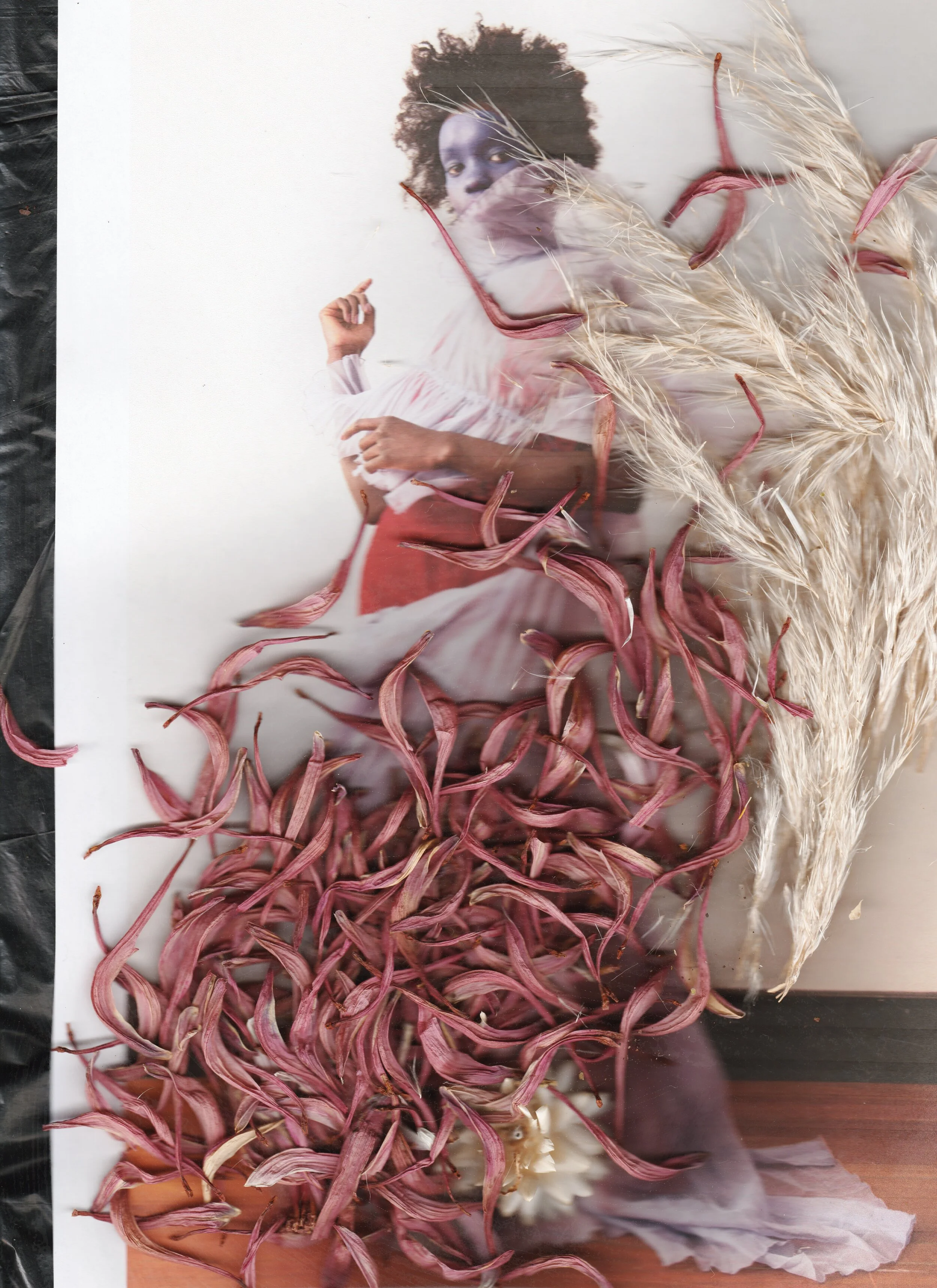 merri creek, nancy 1.jpeg