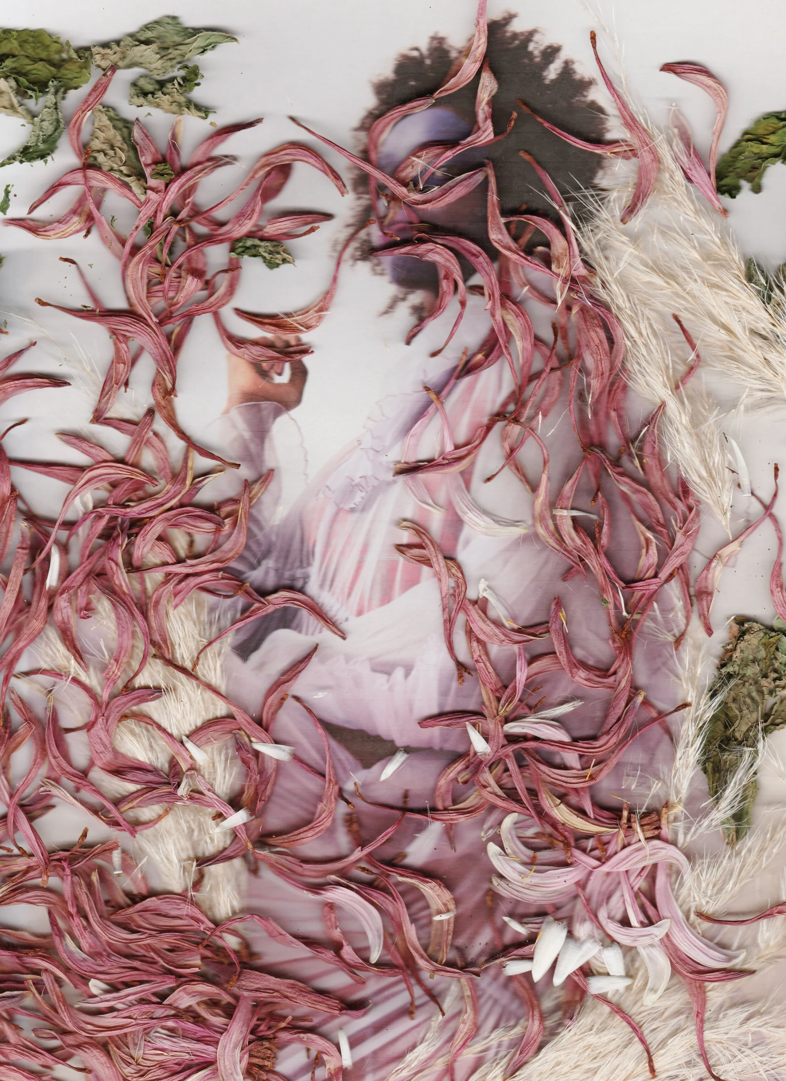 merri creek, nancy 2.jpeg