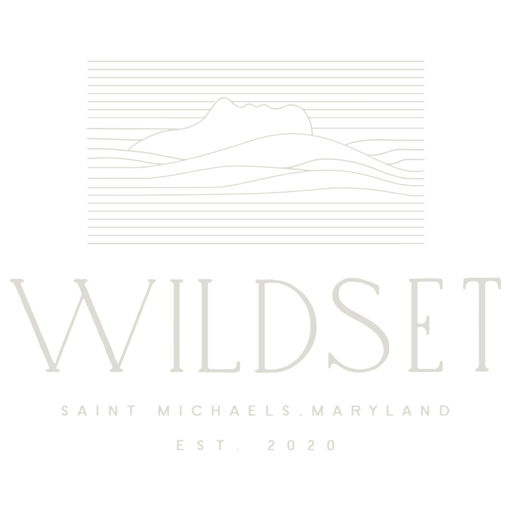 Wildset+Splash+Logos-01.png