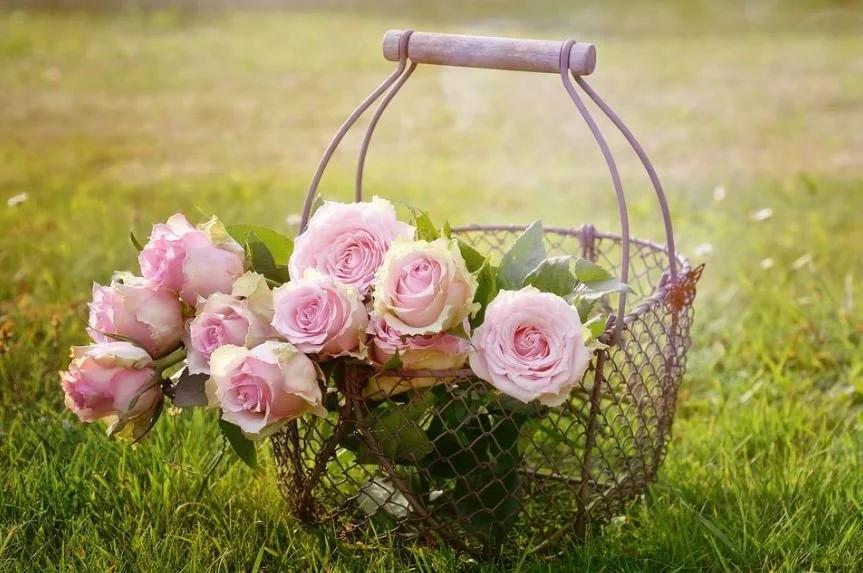 Attending a Summer Funeral 
