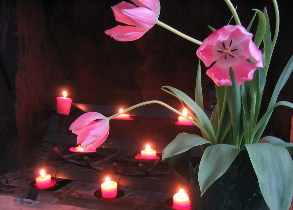Common Questions About Cremation Services  