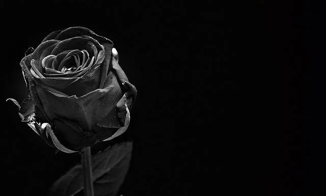 cremation services in DeWitt, NY