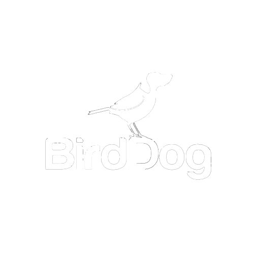 birddog-2.png