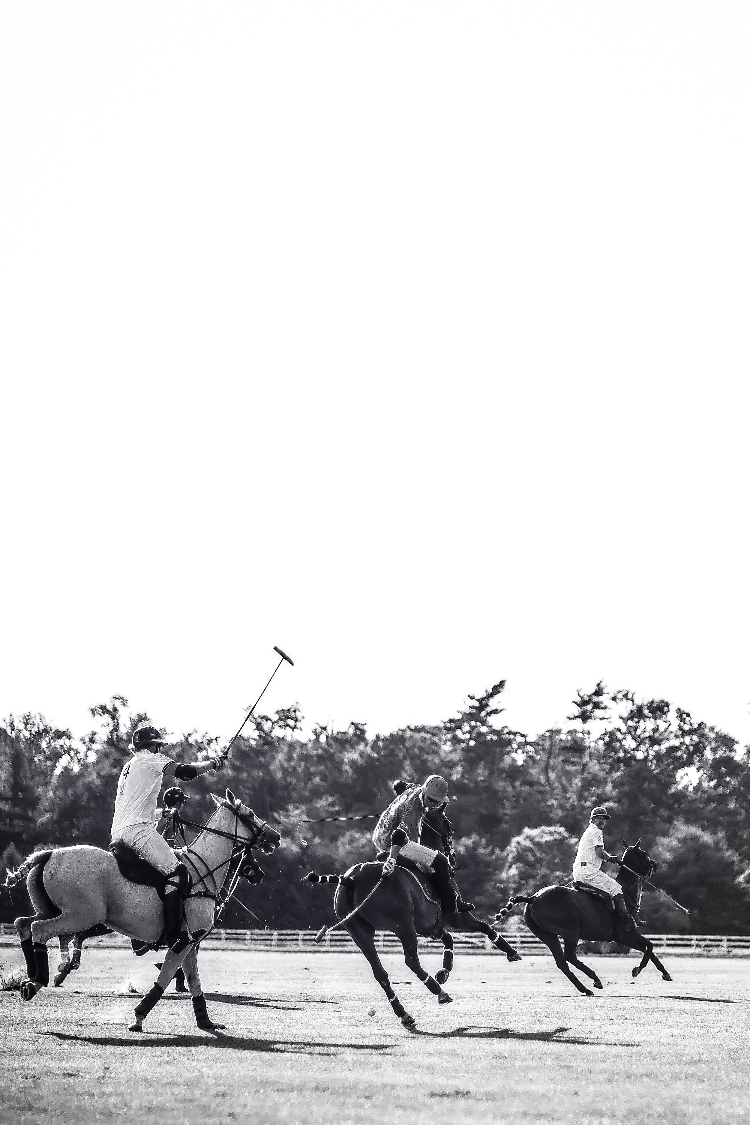 untitled-271-Edit.jpg