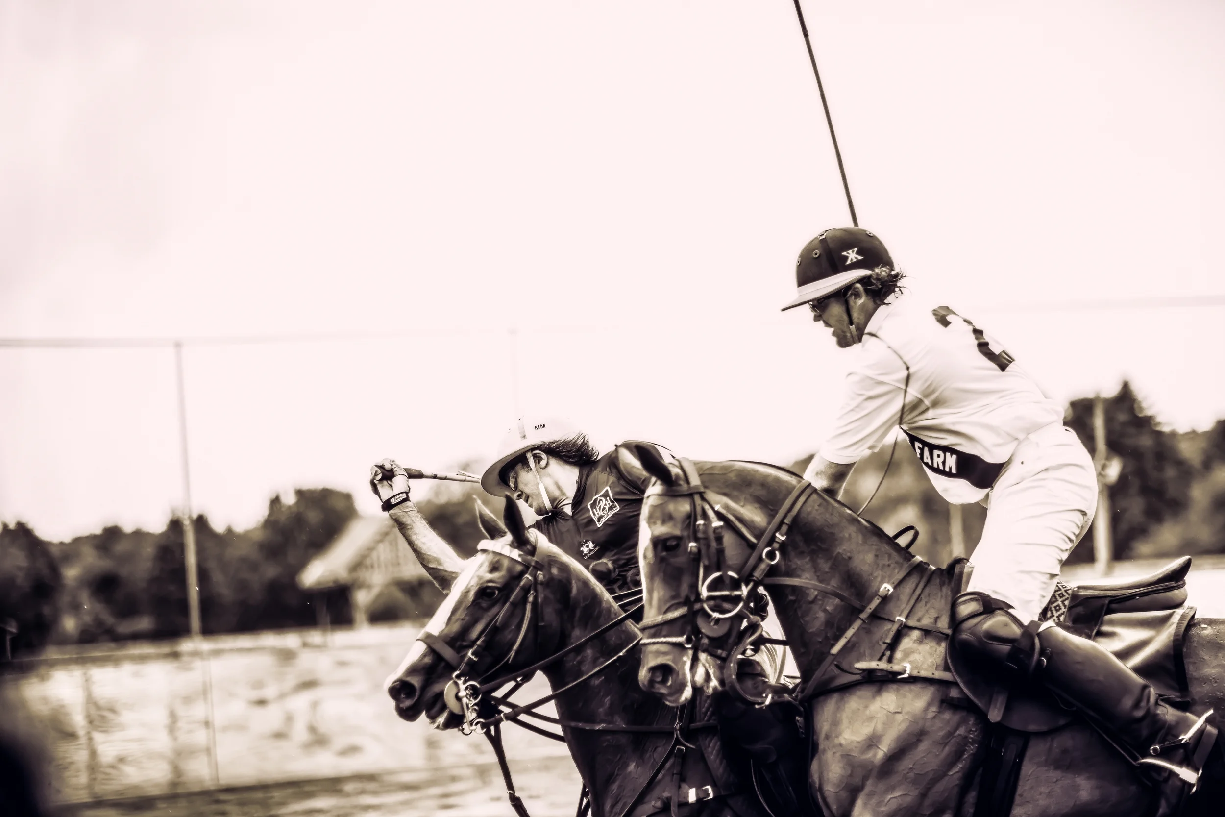 untitled-364-Edit.jpg