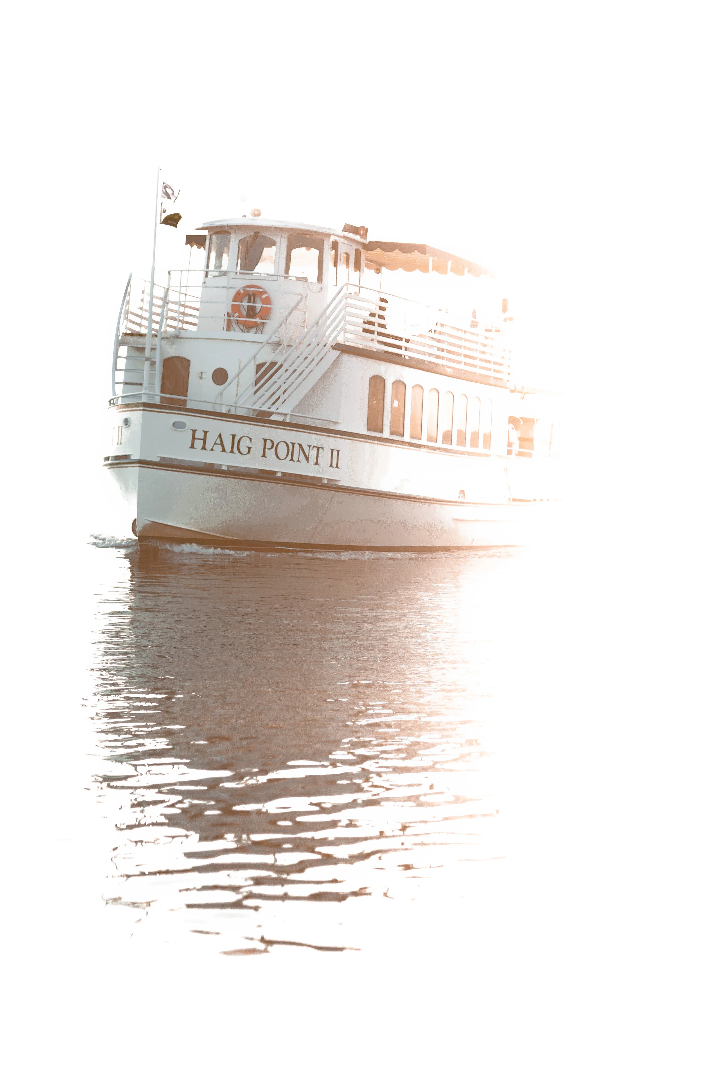 _65A0341.jpg