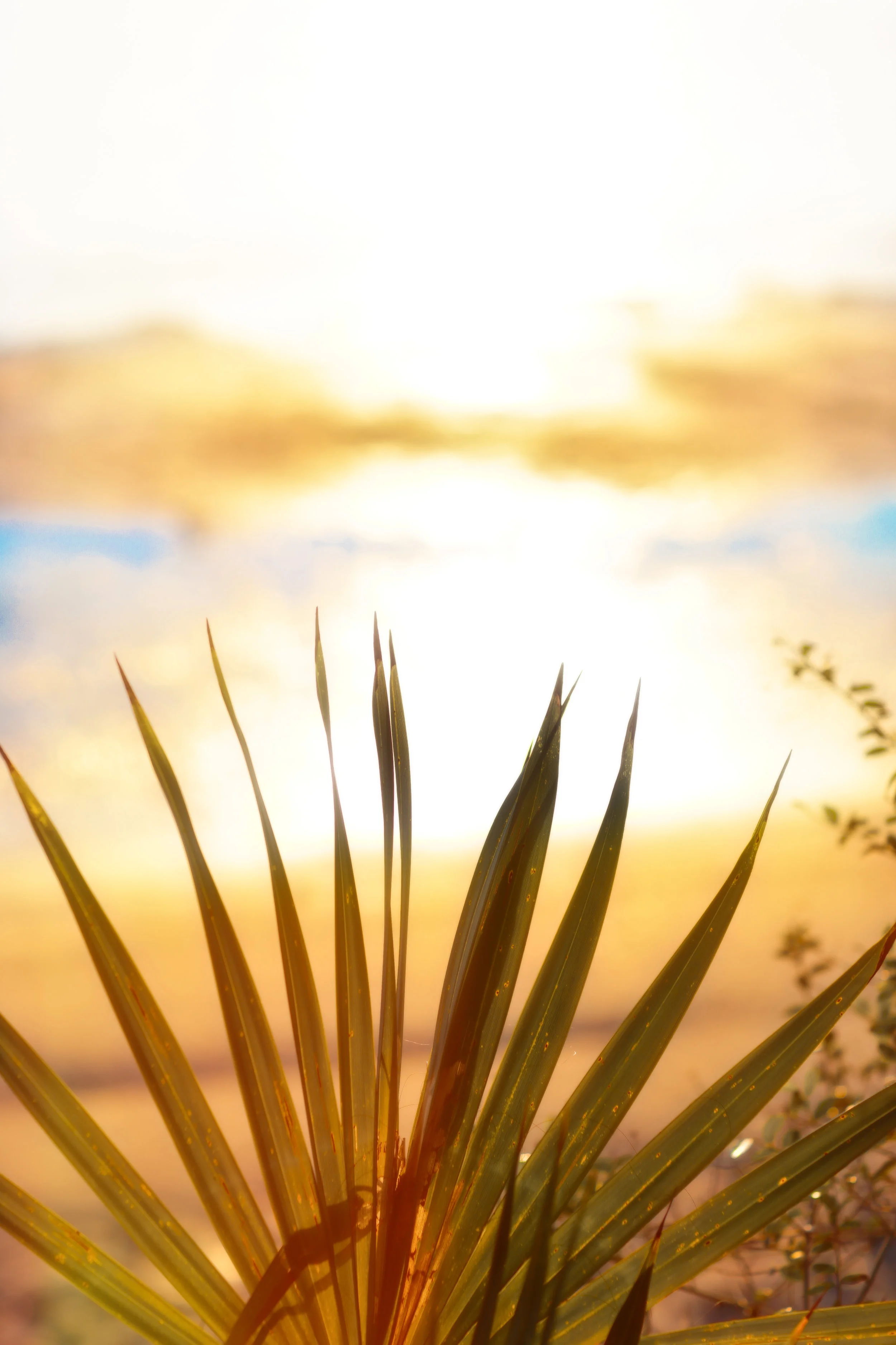 _65A0282-Edit.jpg