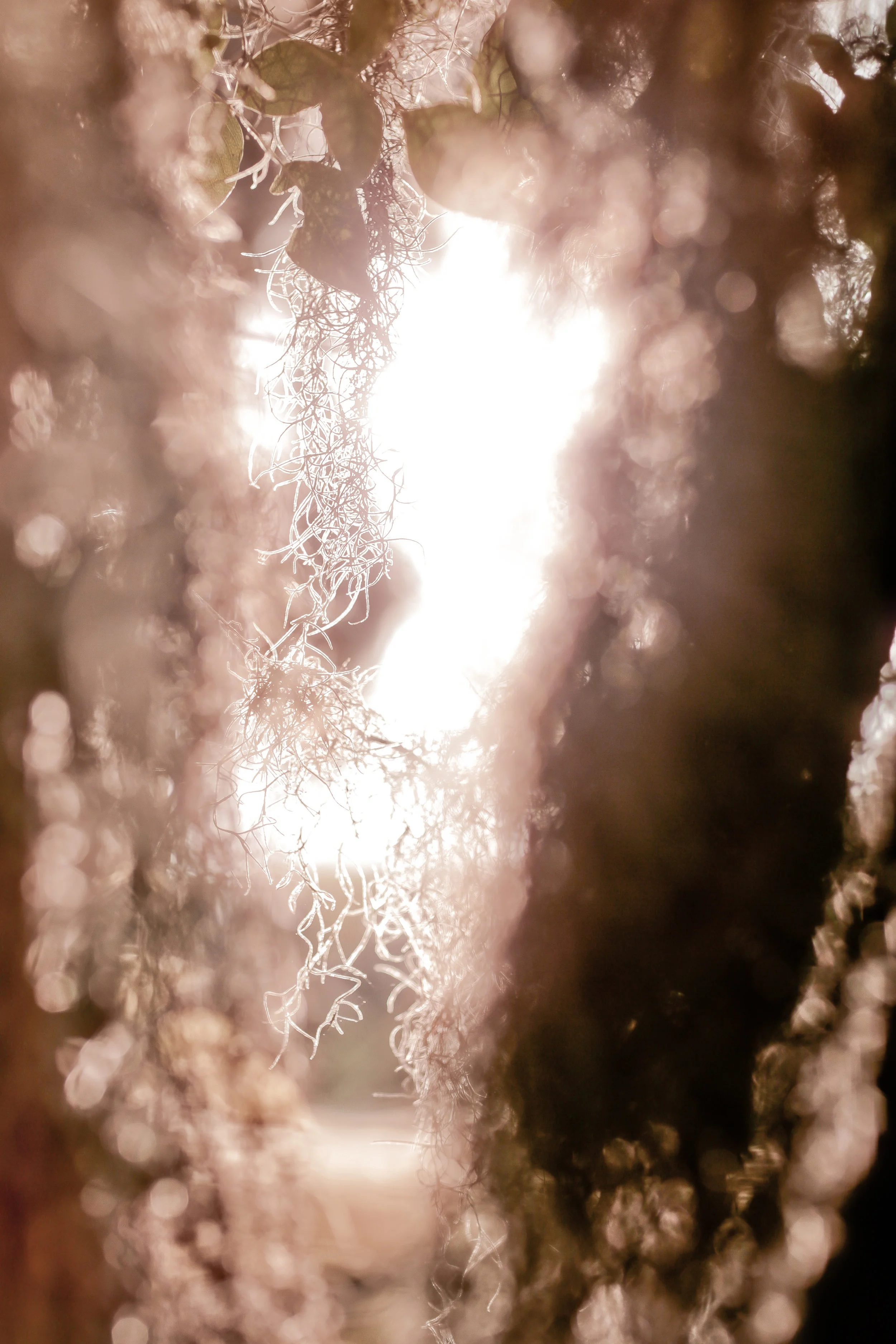 _65A0421-Edit.jpg