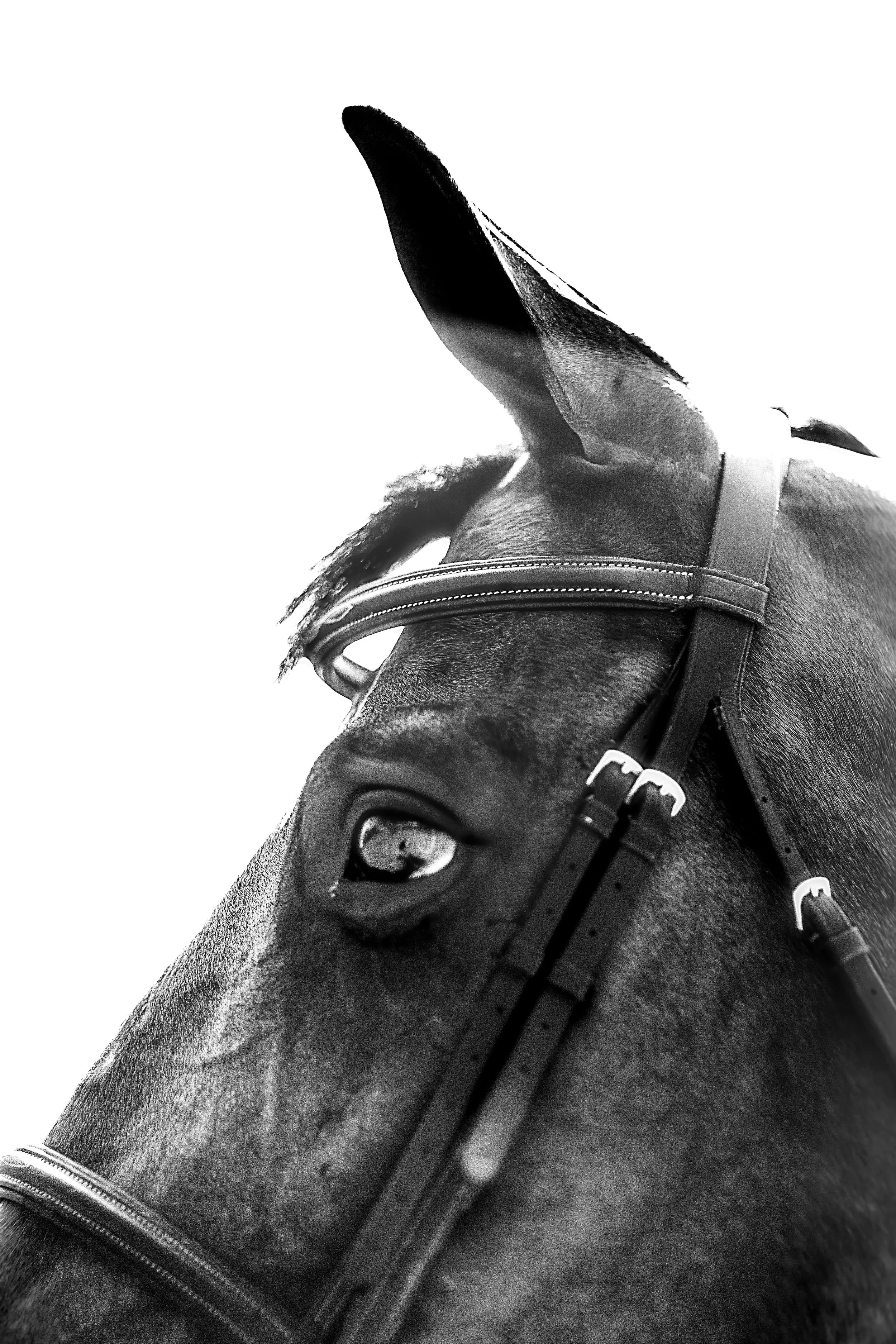 G65A5730-Edit-Edit.jpg