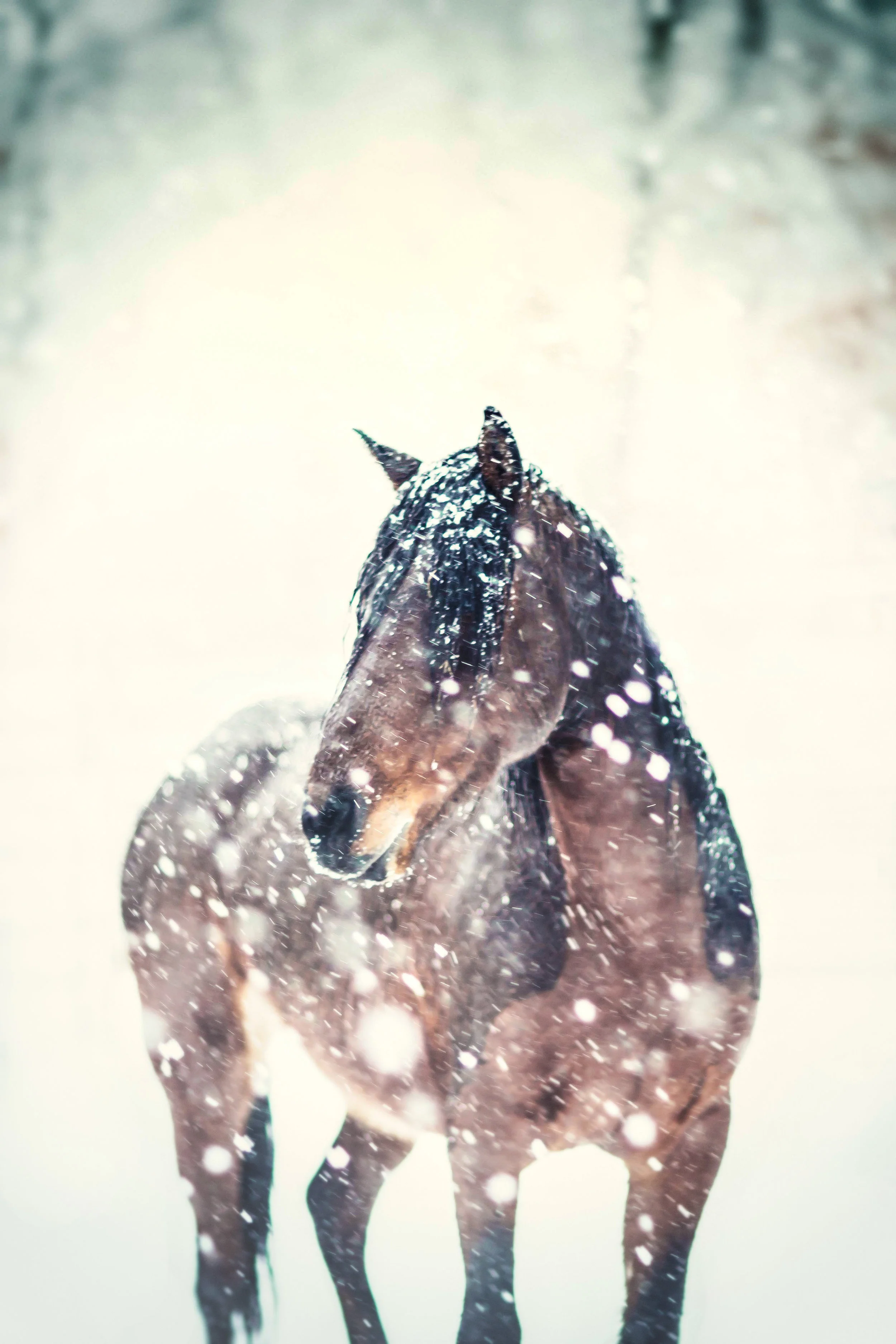 G65A5062-Edit-Edit.jpg
