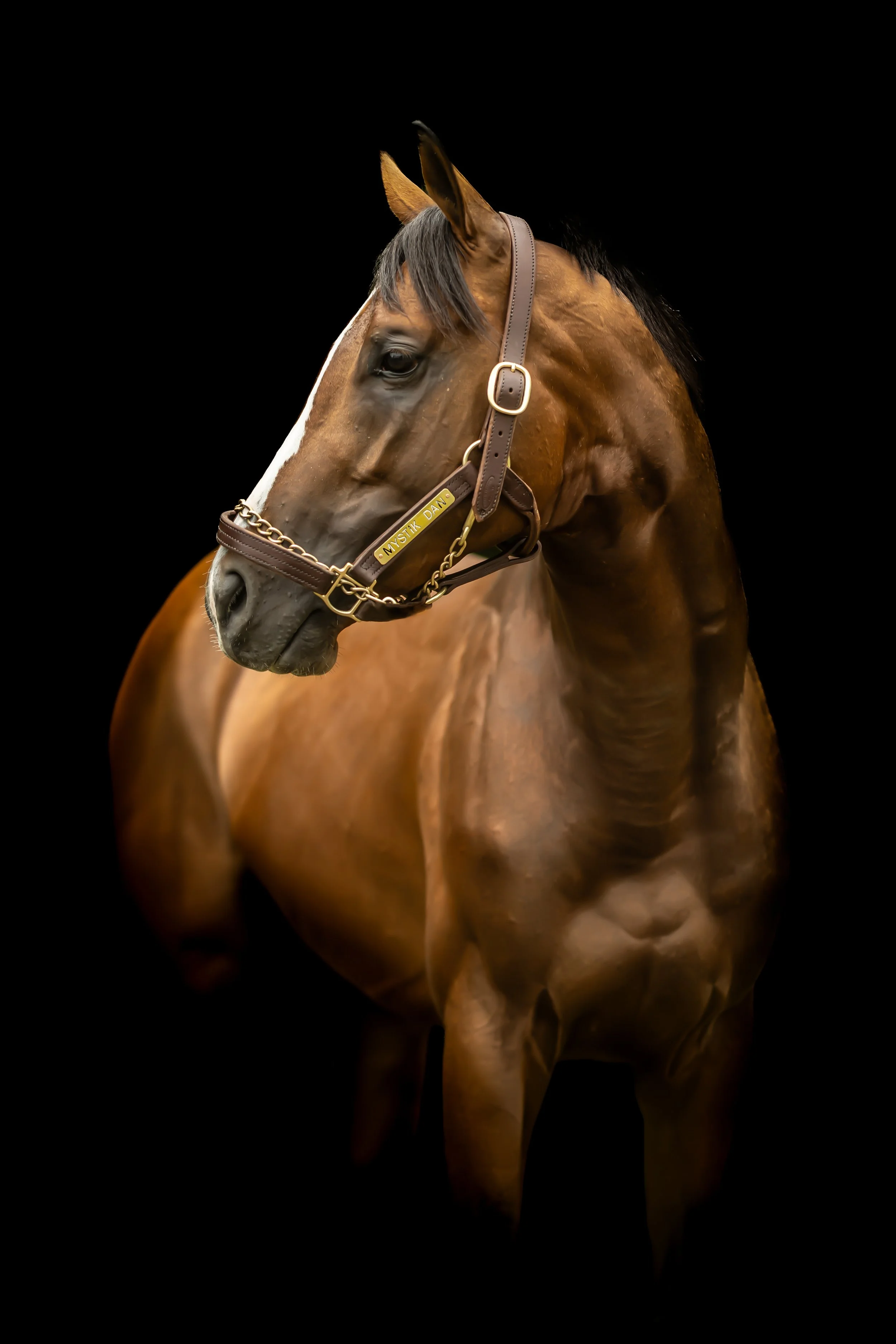 Mystic Dan (2024 Kentucky Derby)