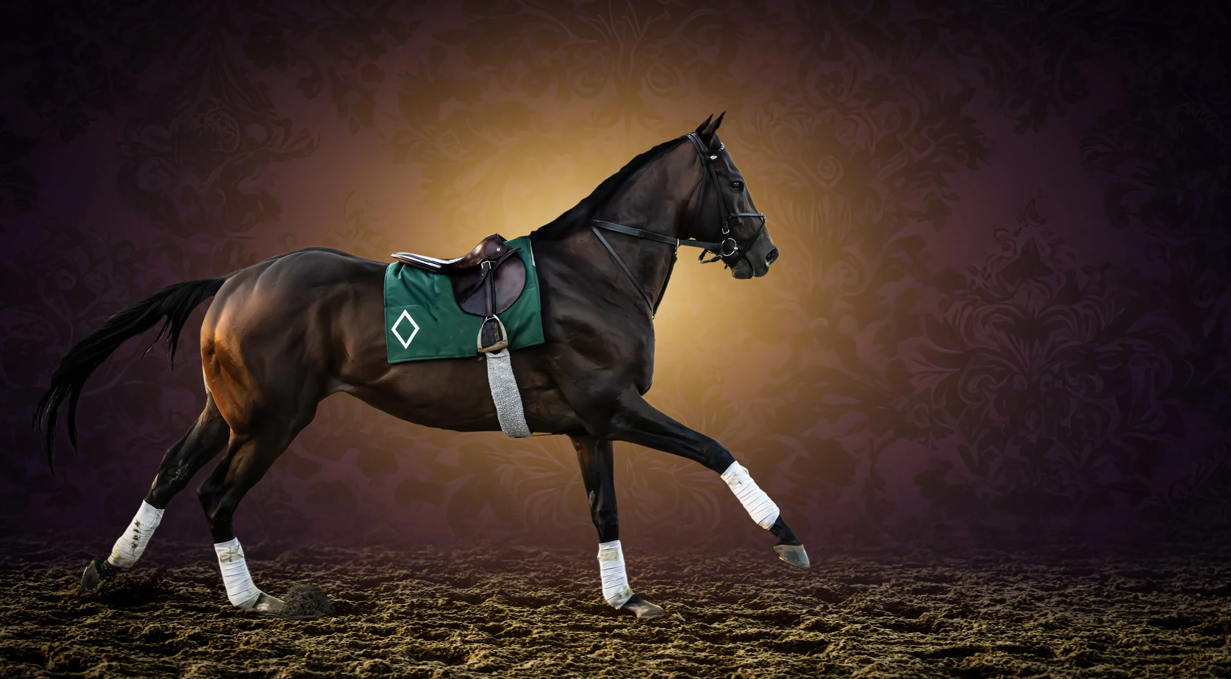 Sovereignty 2025 Kentucky Derby & Belmont Stakes Winner