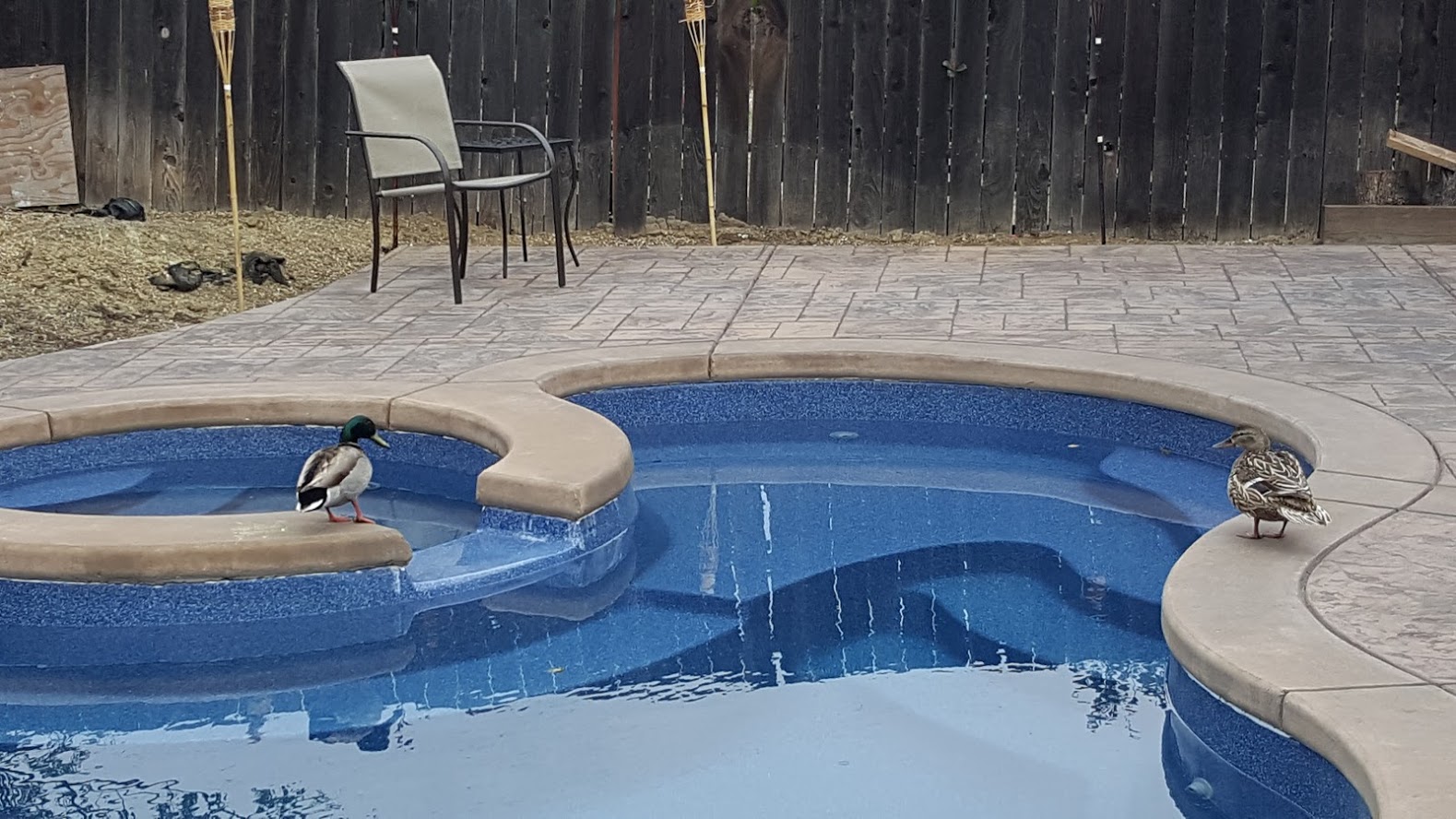 20160422_114842.jpg