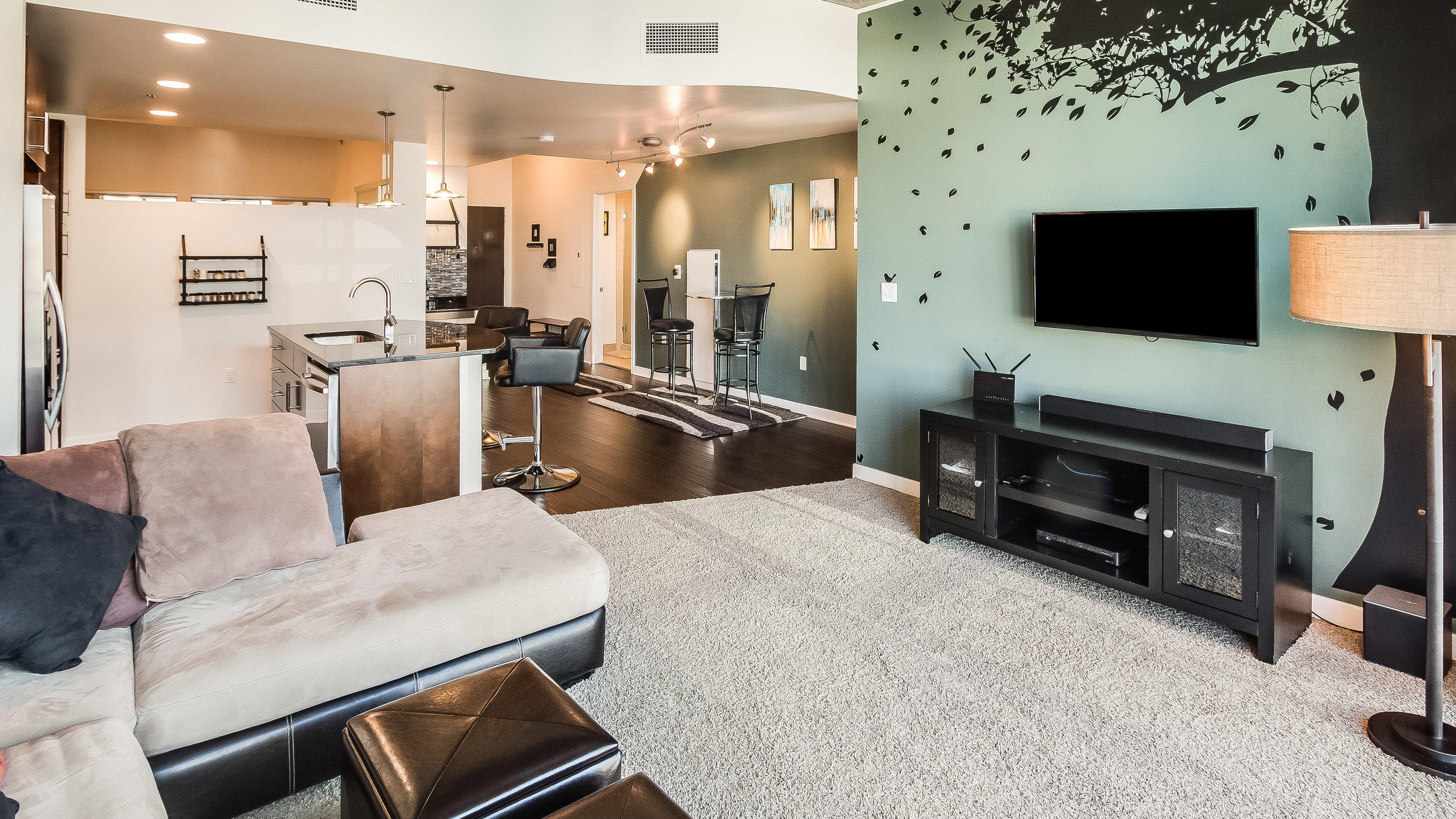 Living Room View.jpg