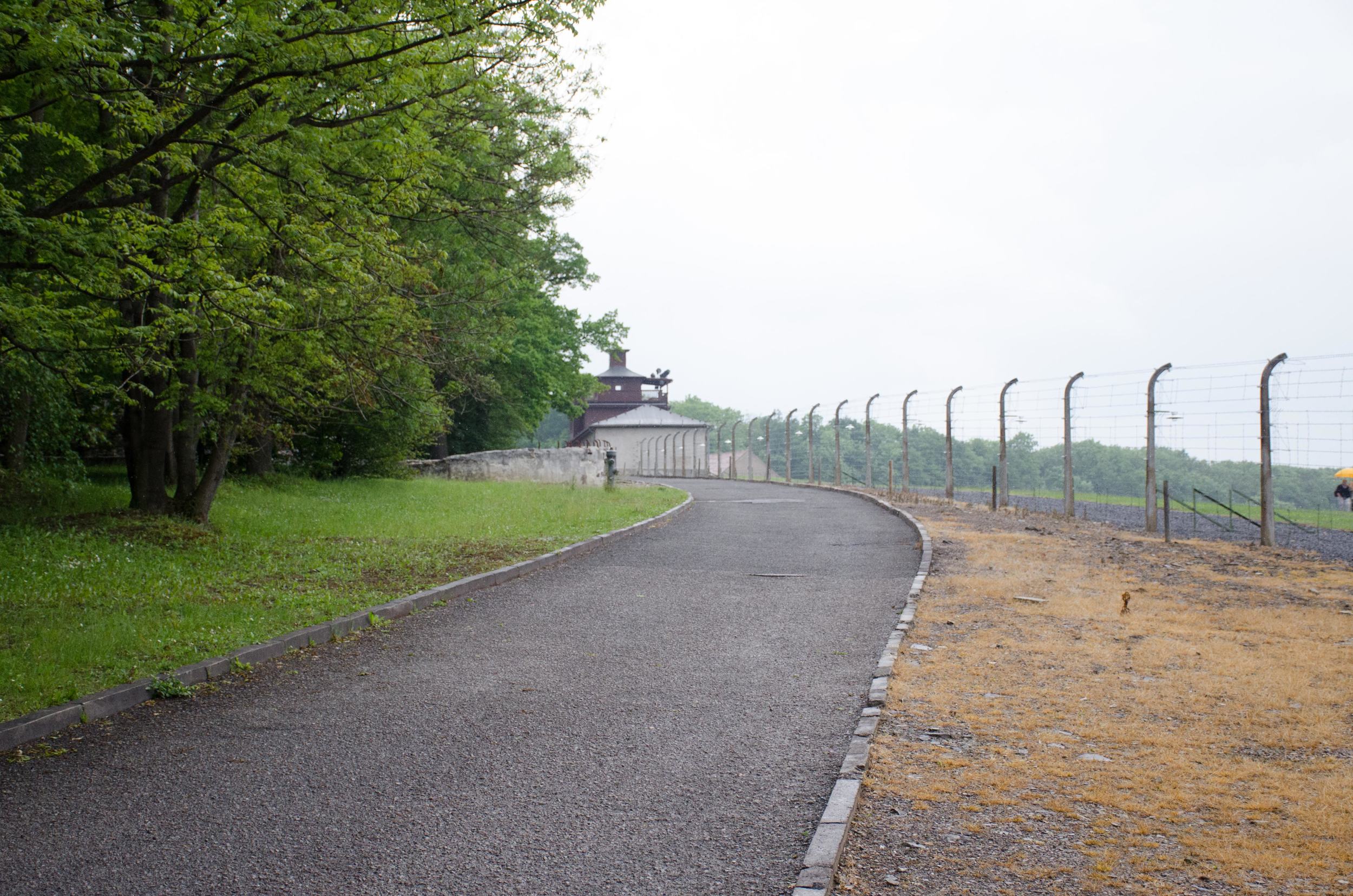 DSC_0964.jpg