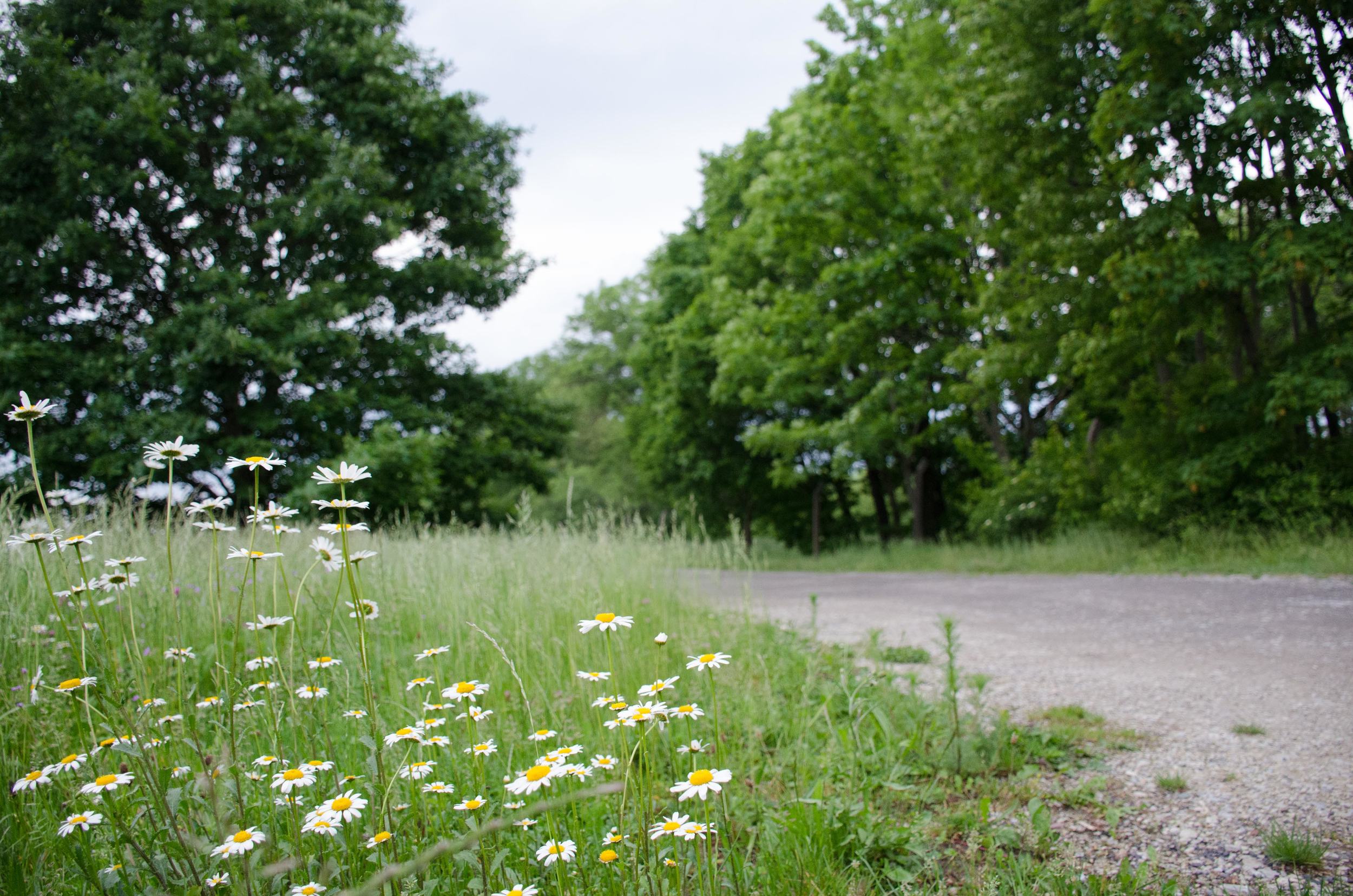 DSC_0986.jpg
