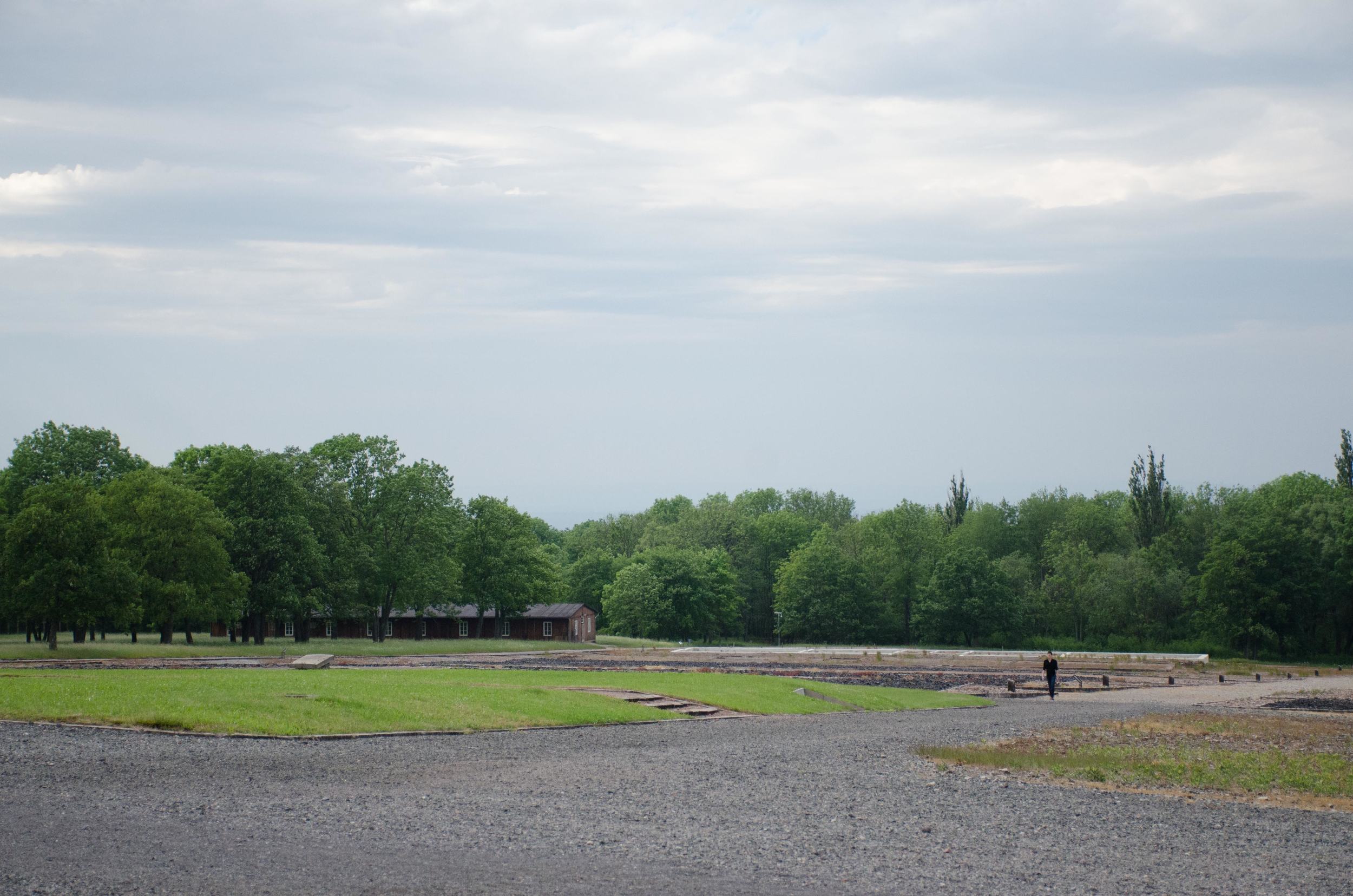DSC_1017.jpg