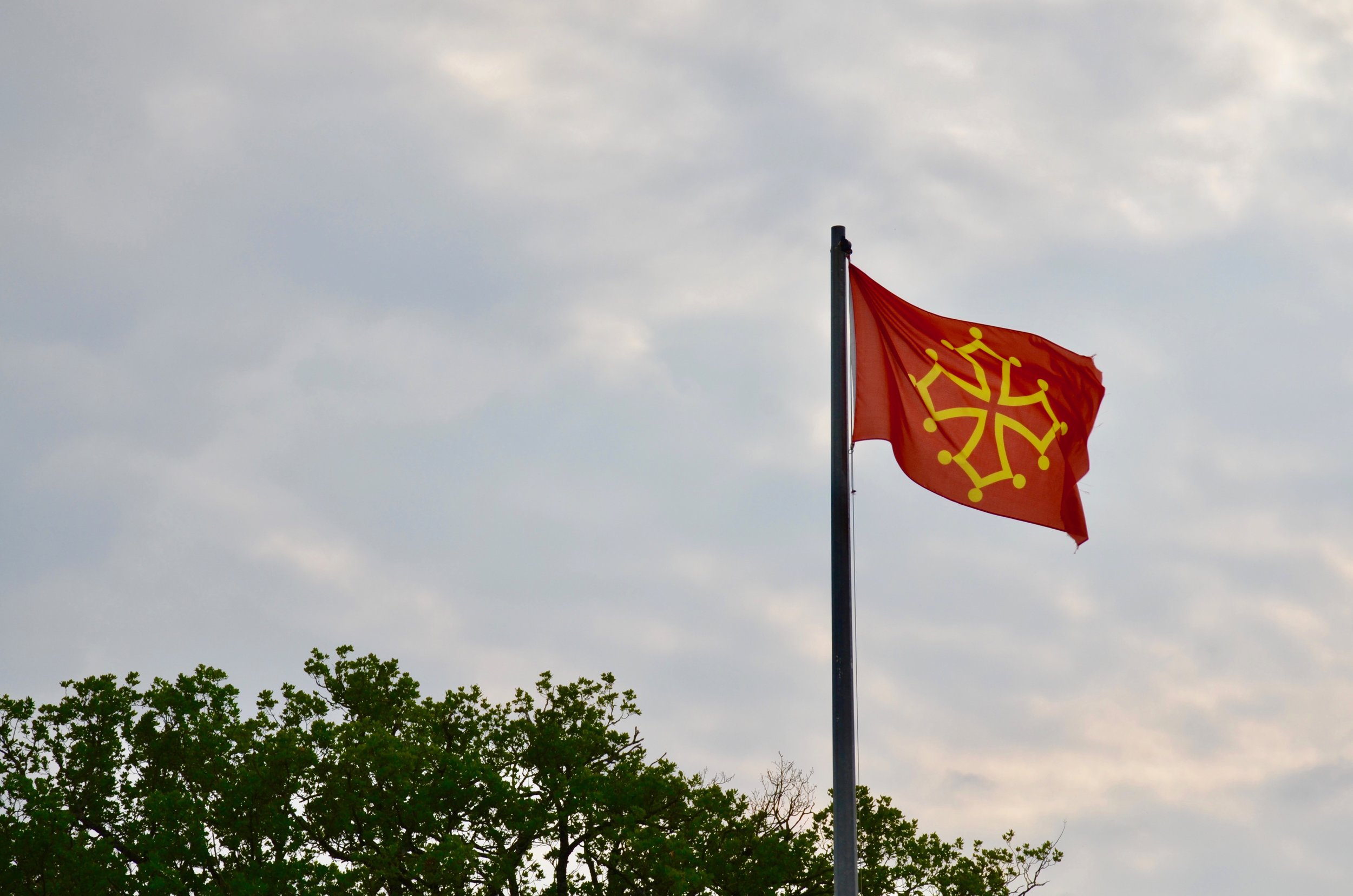 DSC_3234.jpg