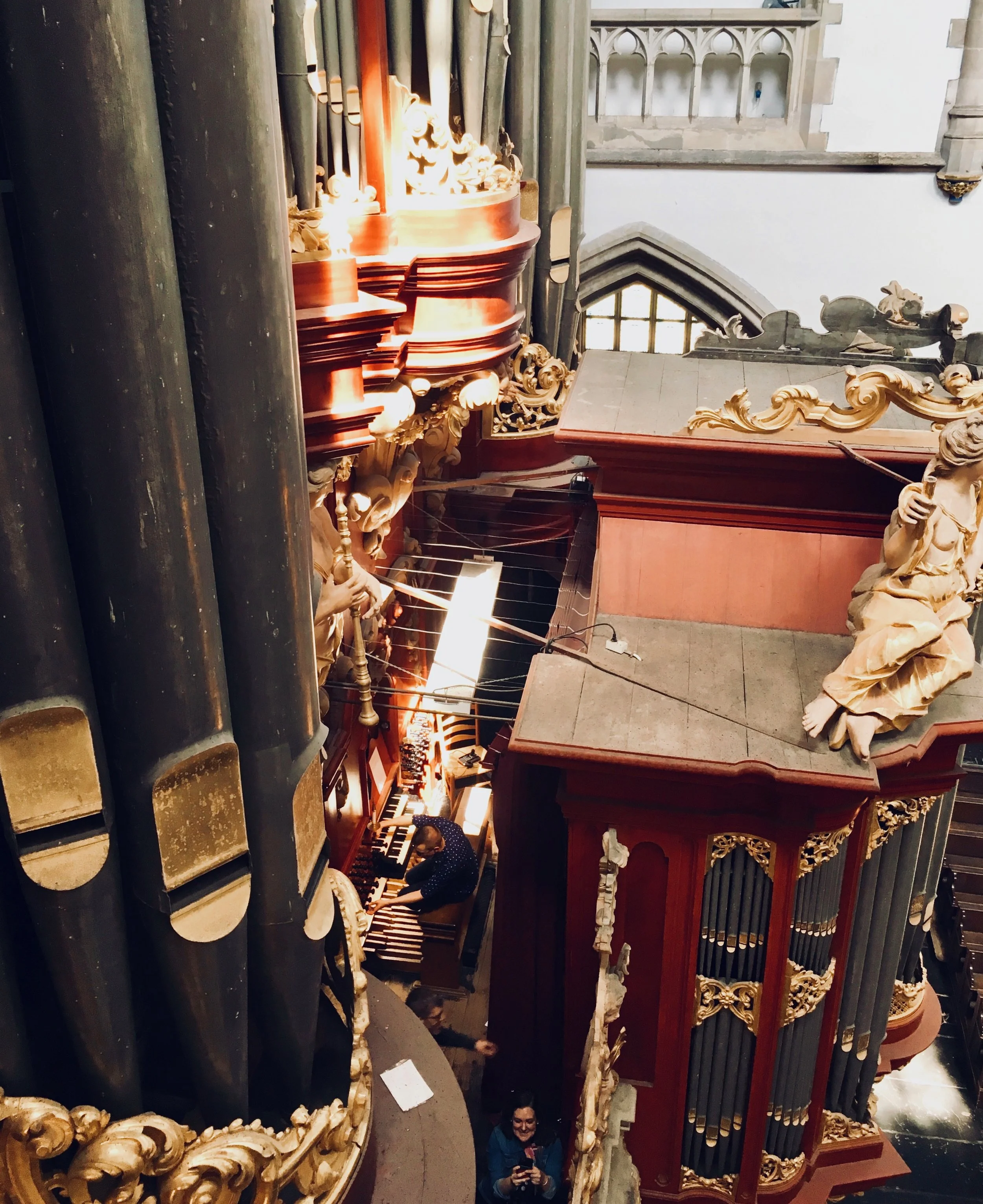 Corey De Tar at the console of St-Bavo, Haarlem. Boston Organ Studio.