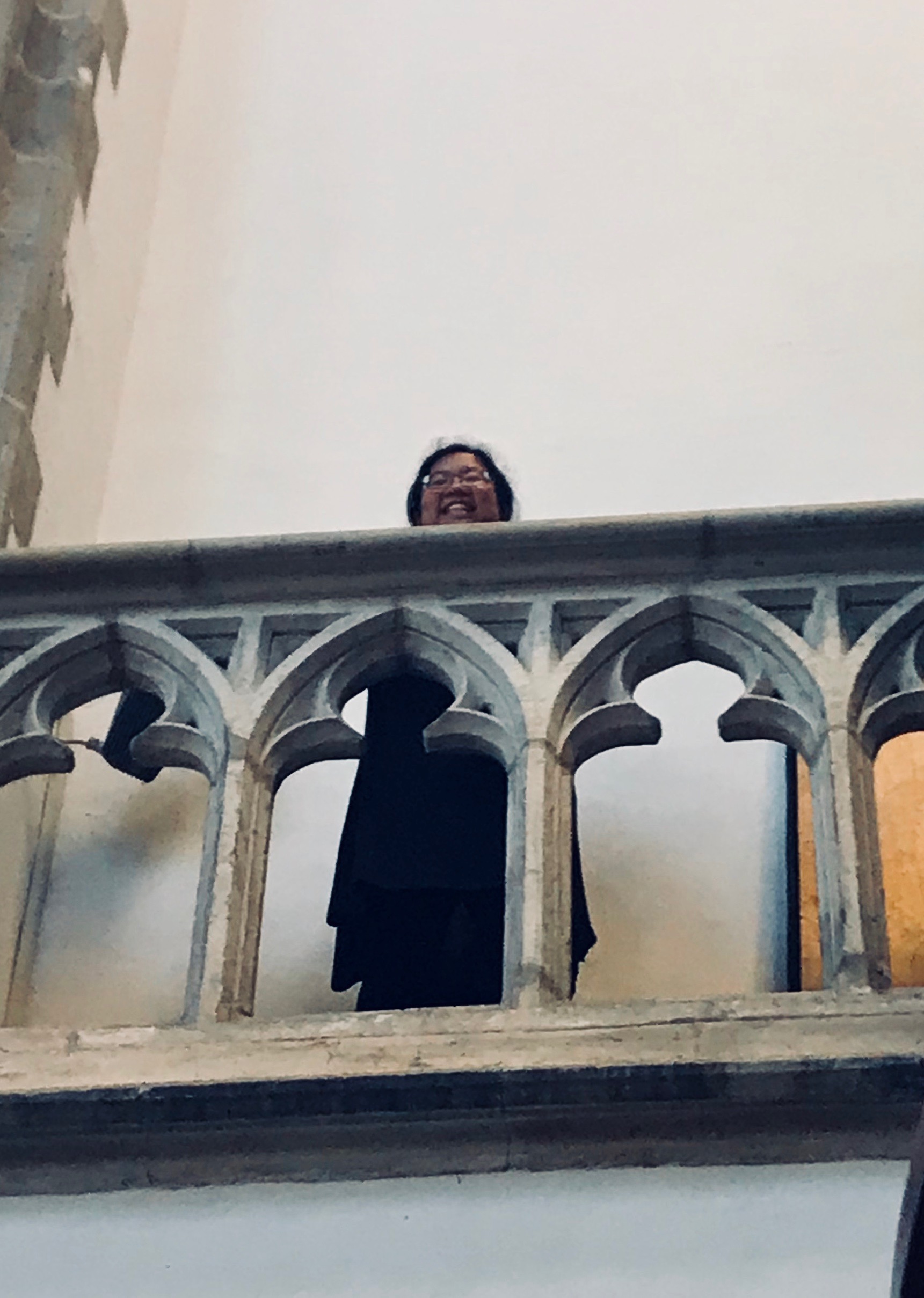  Jennifer Hsiao peers down from the triforium in St-Bavo, Haarlem.  