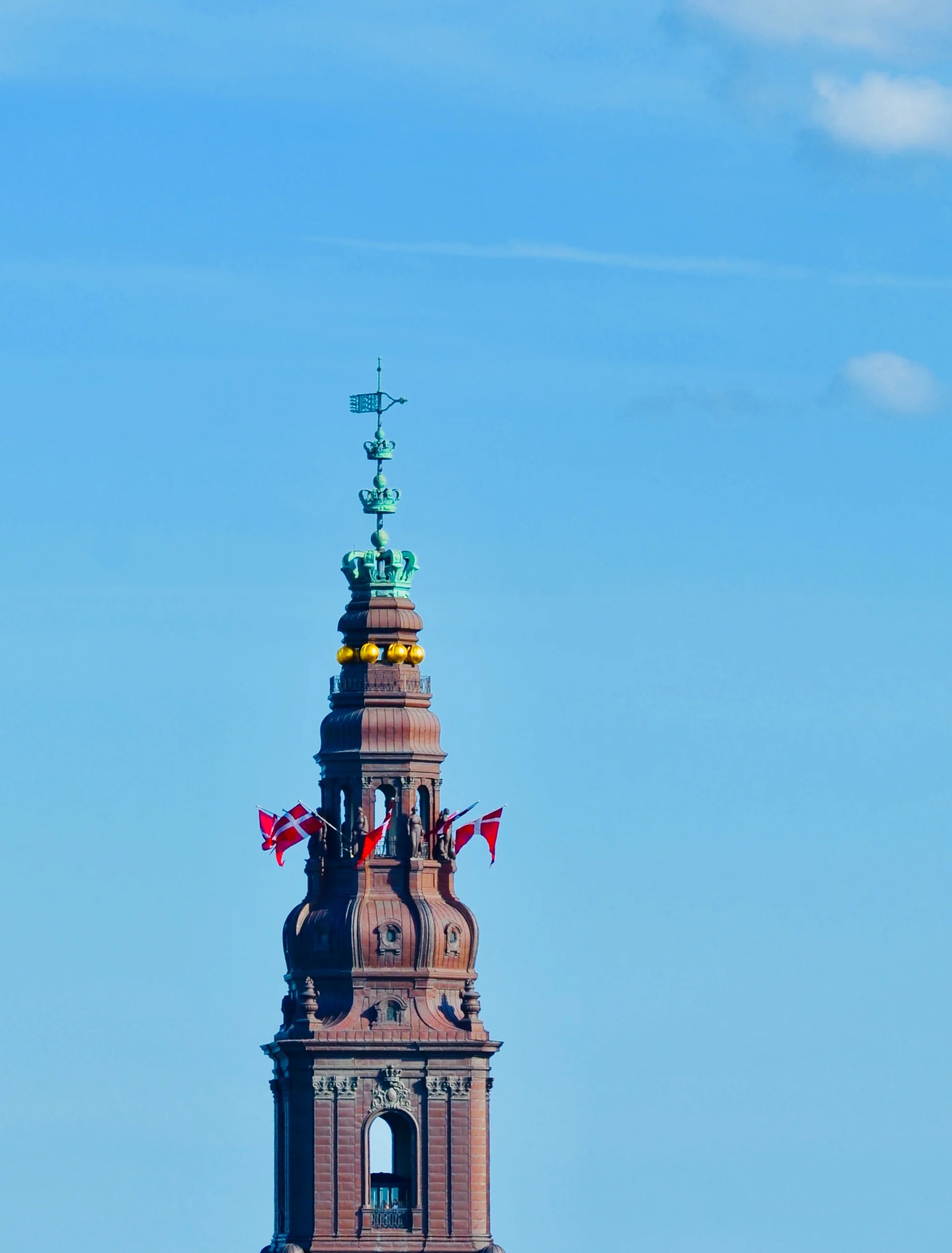 DSC_5693.jpg