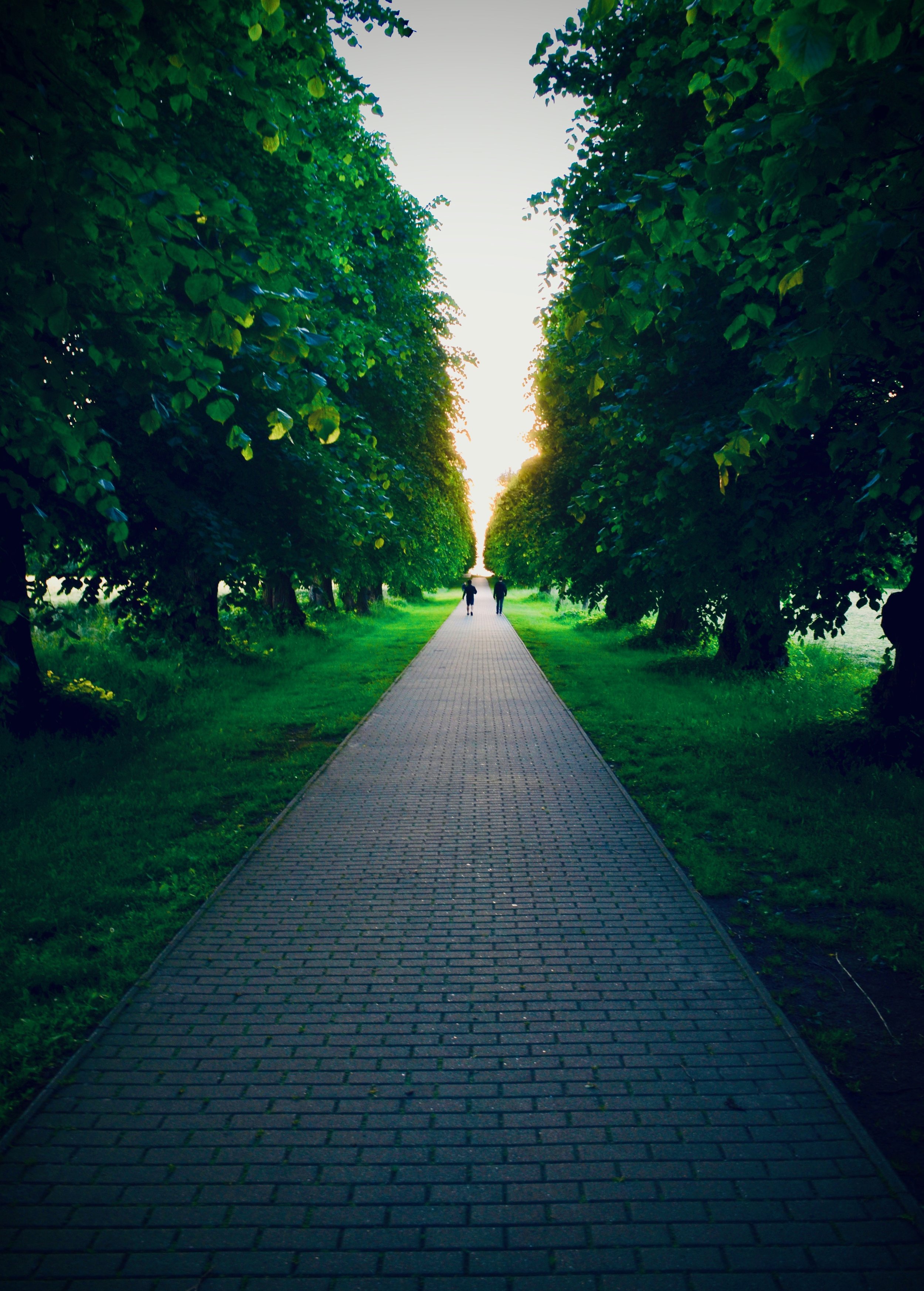 The path to the Baltic Sea.