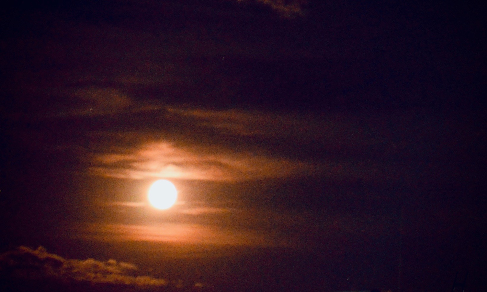DSC_7591.jpeg