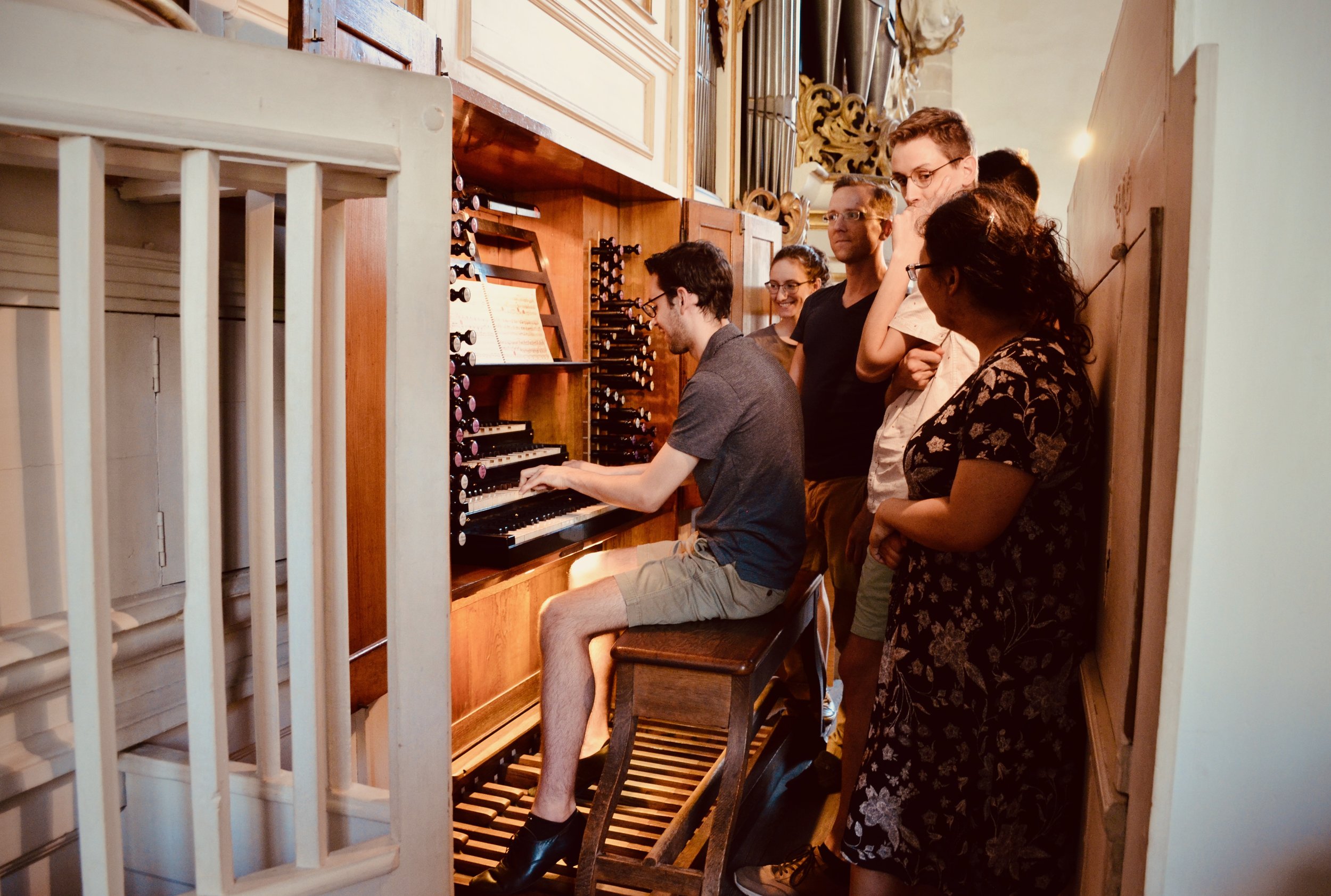 Nick Capozzoli plays the 1855 Ladegast Organ, Merseburg Dom.