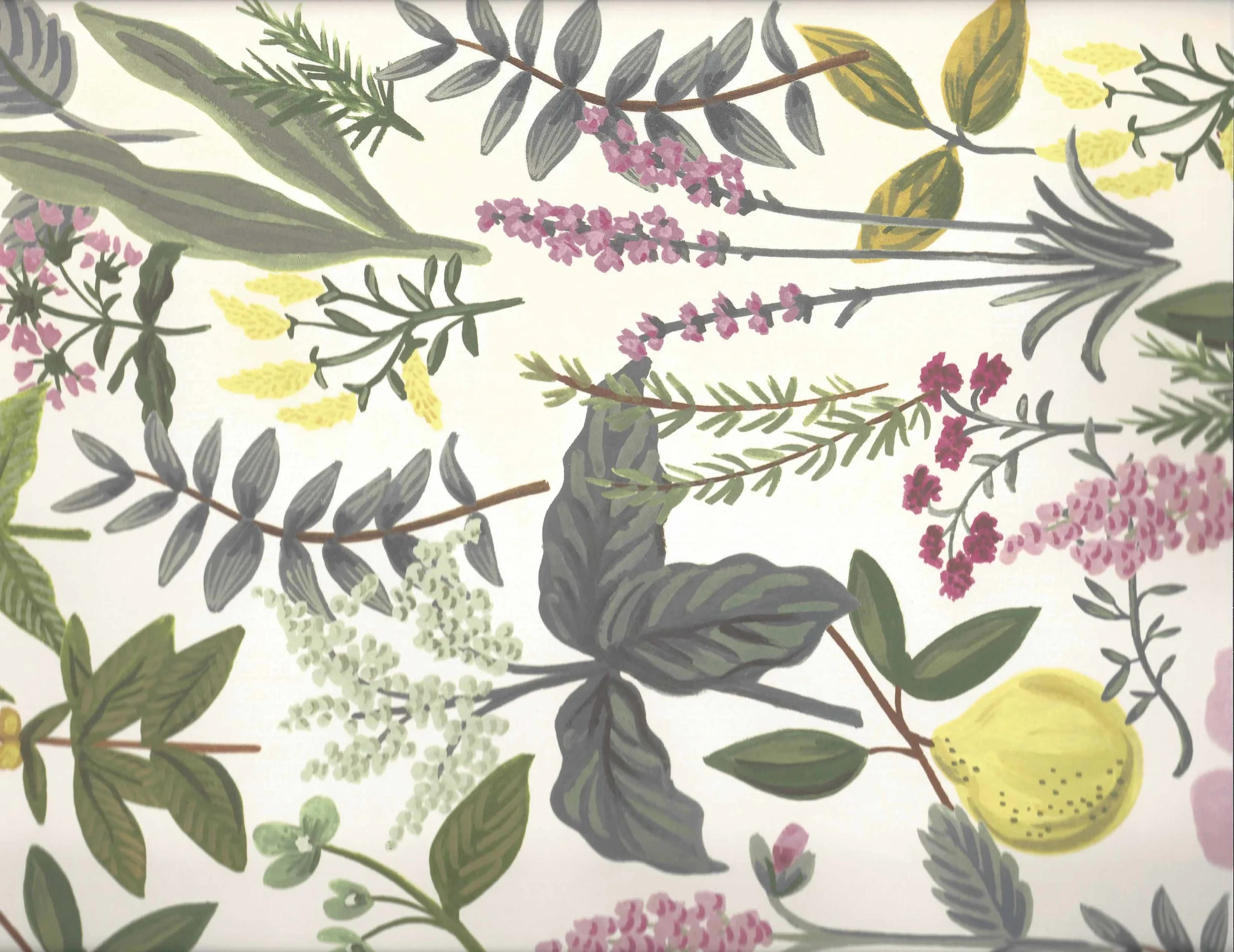 lemon and floral paper background