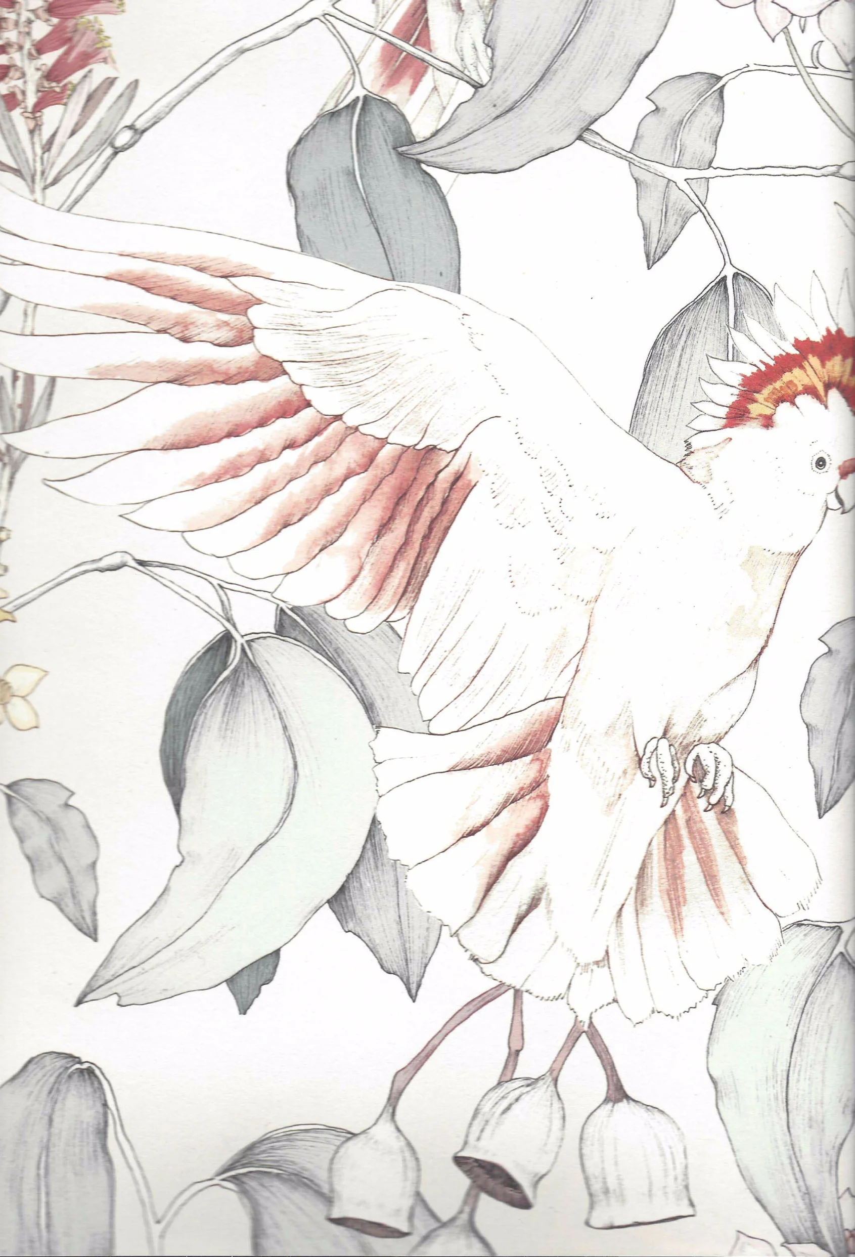 cockatoo pattern paper background