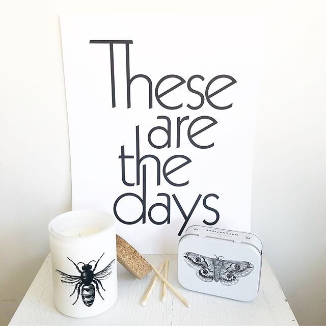 These are the days...of socializing distantly &amp; biting bugs. 🦟 Try our Citronella Grapefruit Candle from @skeemdesign // $32 // open today from 12-5 🤍