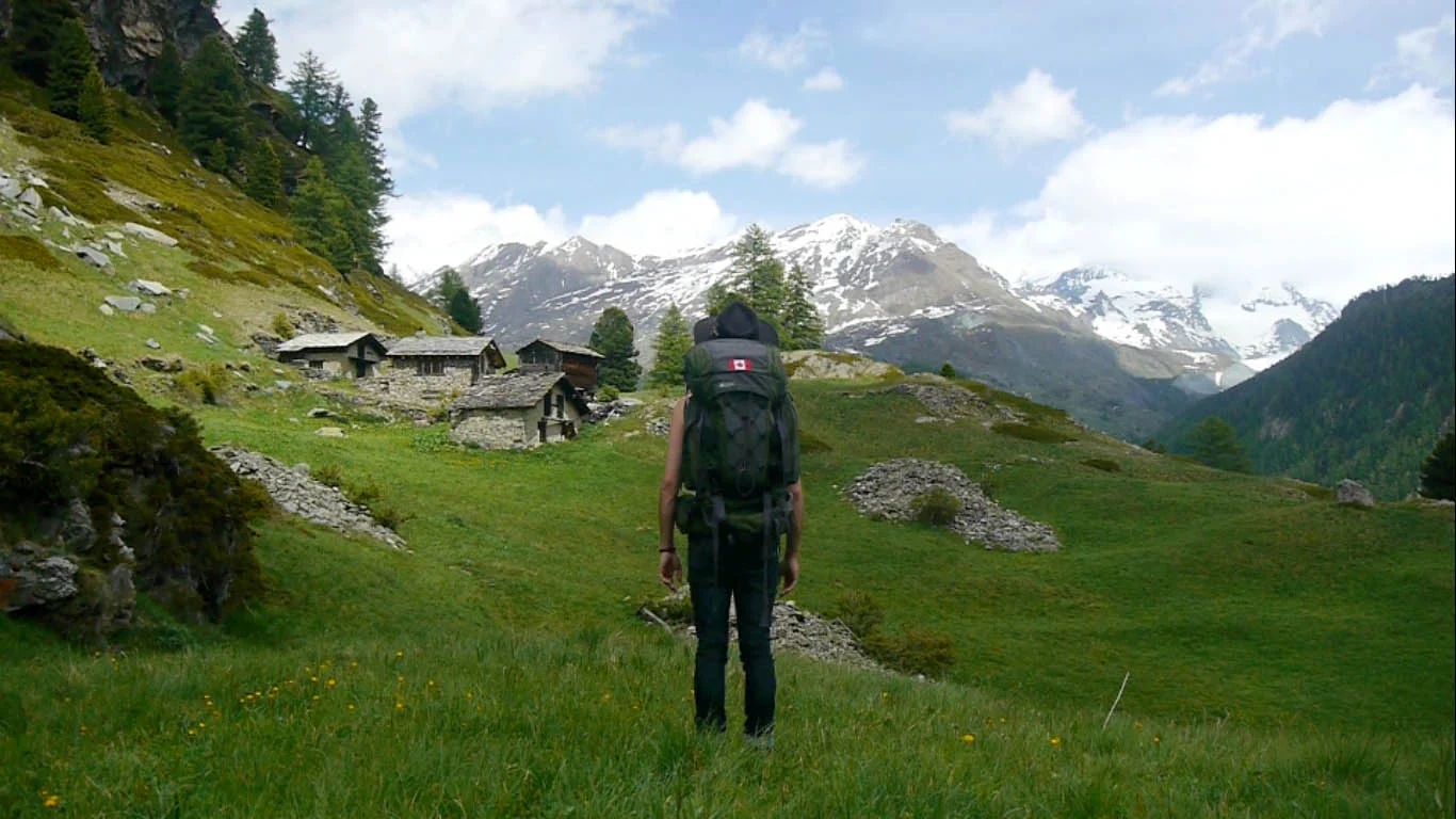 Wallis (2012)