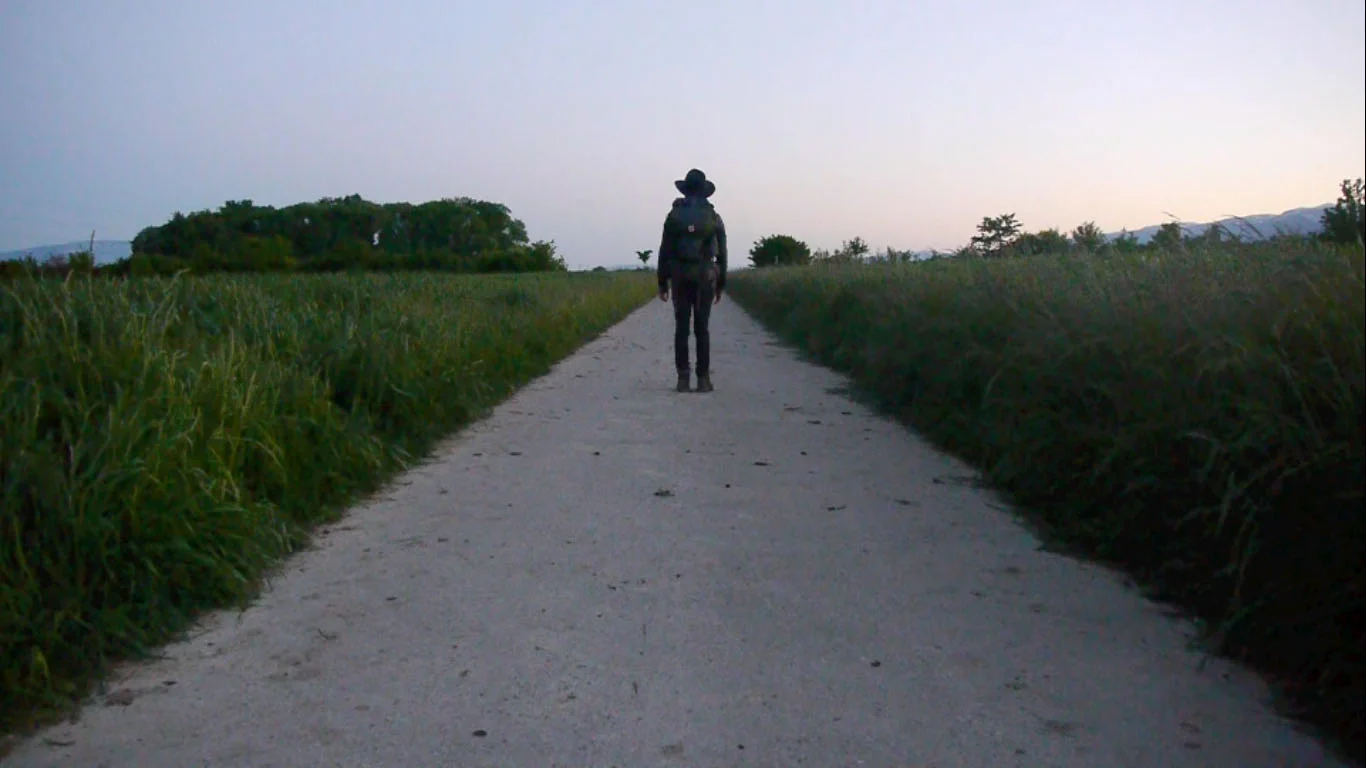 Basal Land (2012)