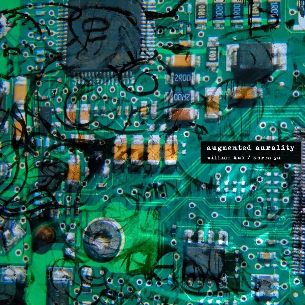 Augmented Aurality