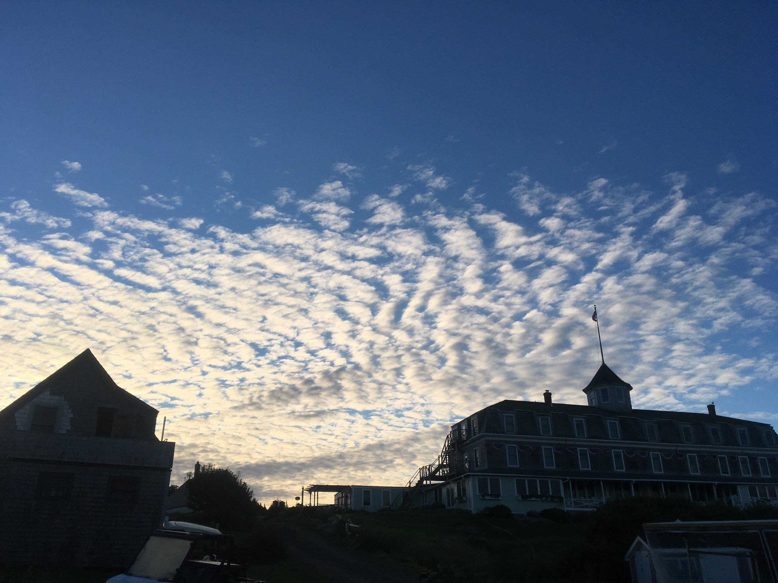 92EBC3FC-2535-4974-B8EF-A80F3594309E.jpeg