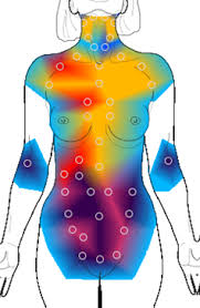 thermography image.jpeg