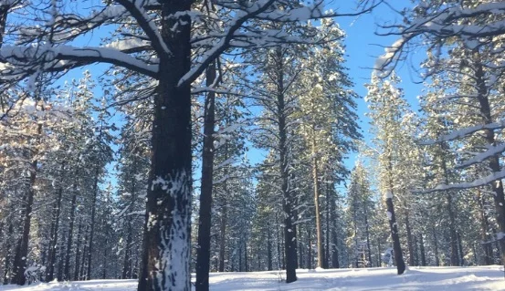 Photo: Sun River, Oregon.