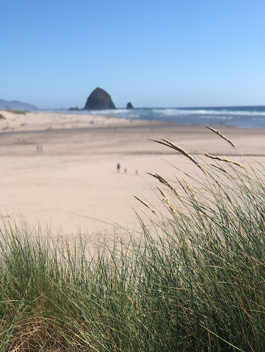 Photo: Cannon Beach, OR