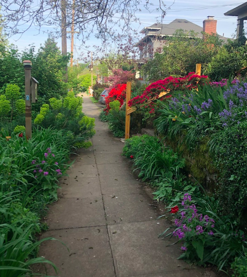 Photo: Flowers in SE Portland.