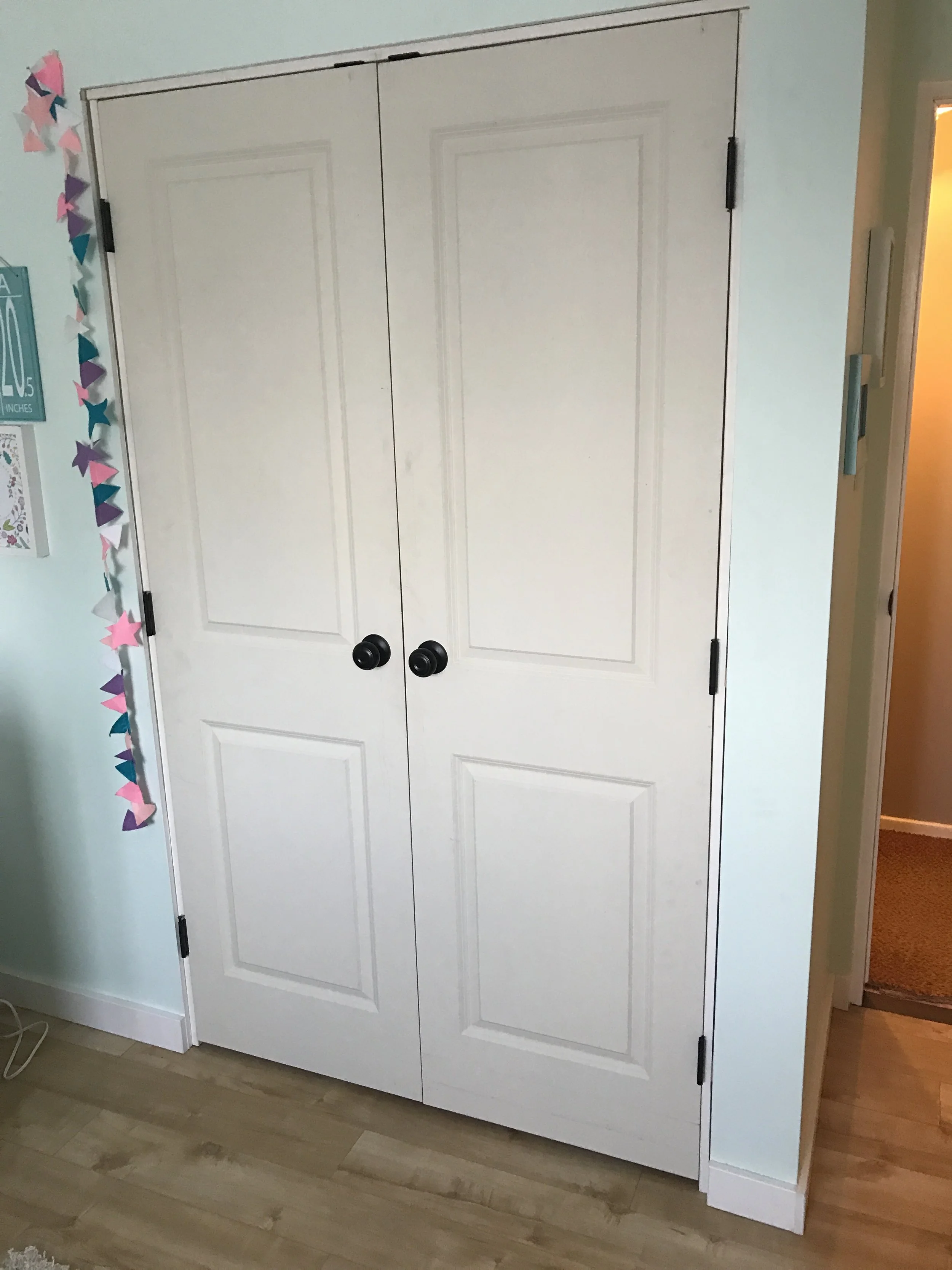 custom closet doors (3).JPG