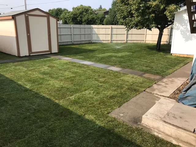 CMHA sod and irrigation (2).JPG