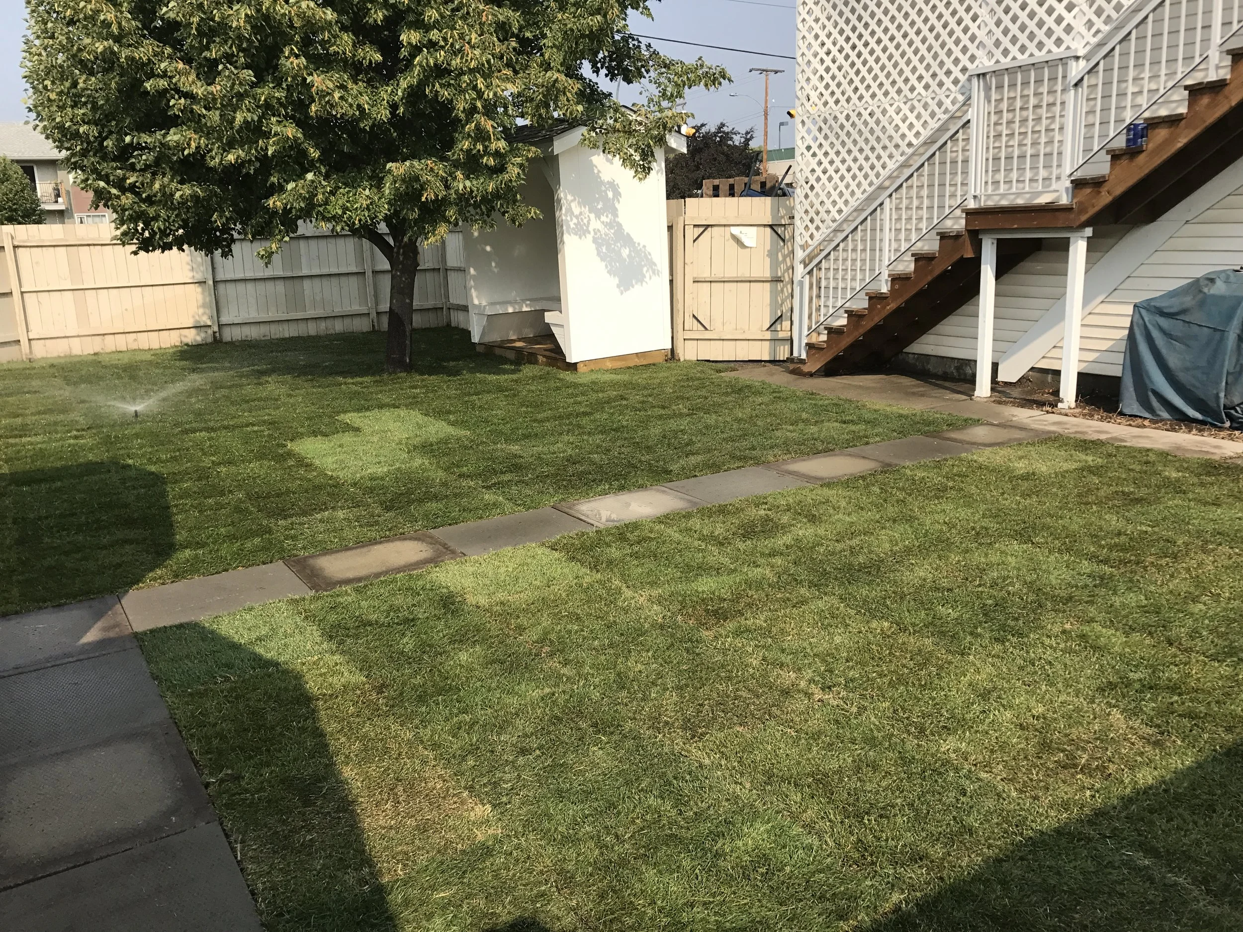 CMHA sod and irrigation (1).JPG