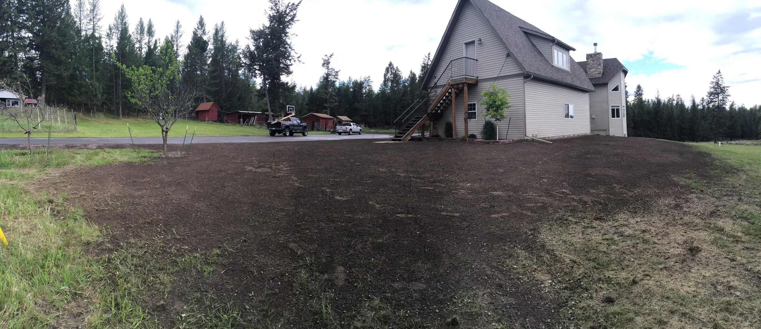 schieman overseeding (12).JPG