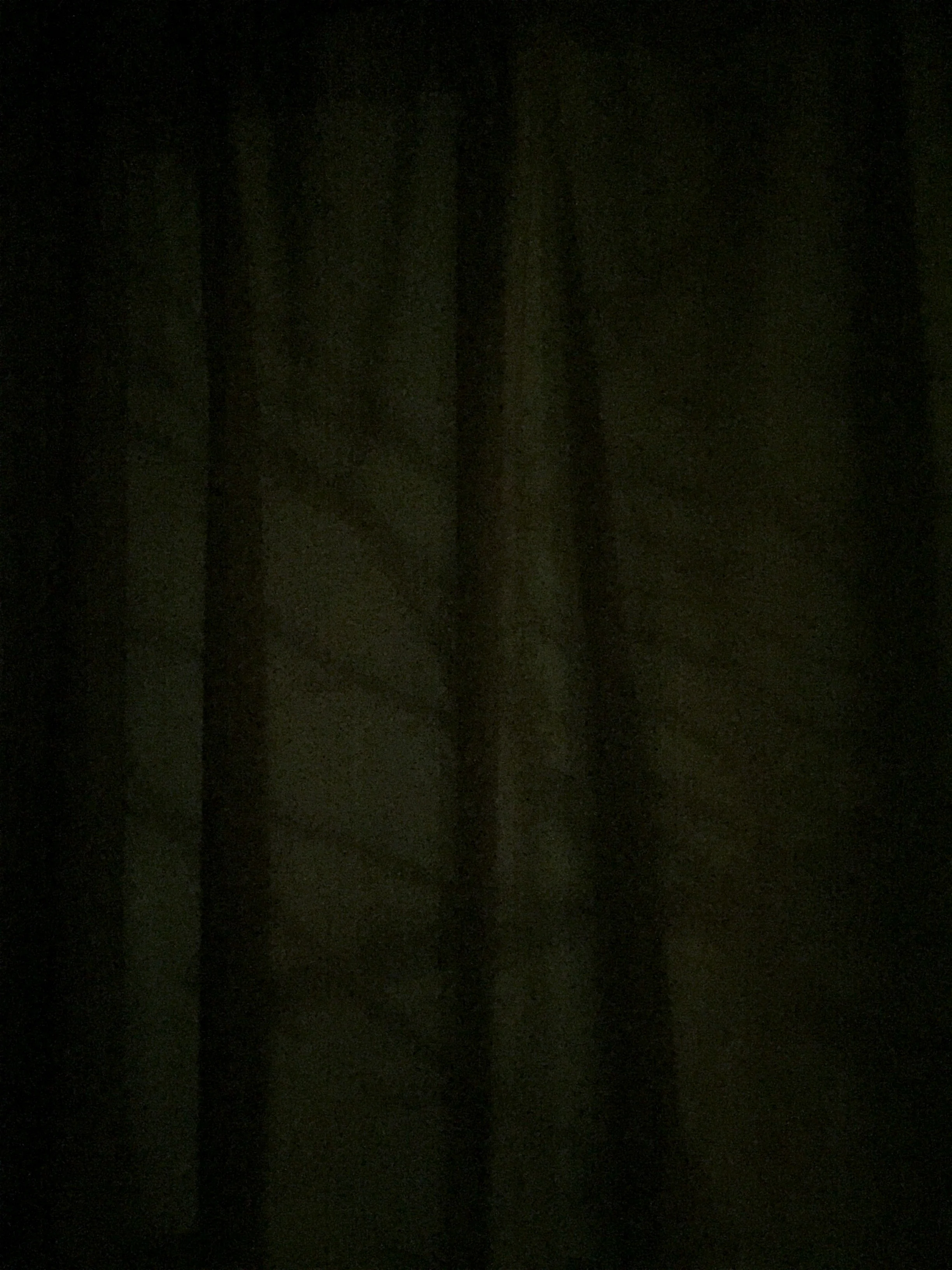 tree.shadow.final.jpg