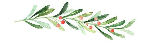 CHRISTMAS DIVIDER.jpg