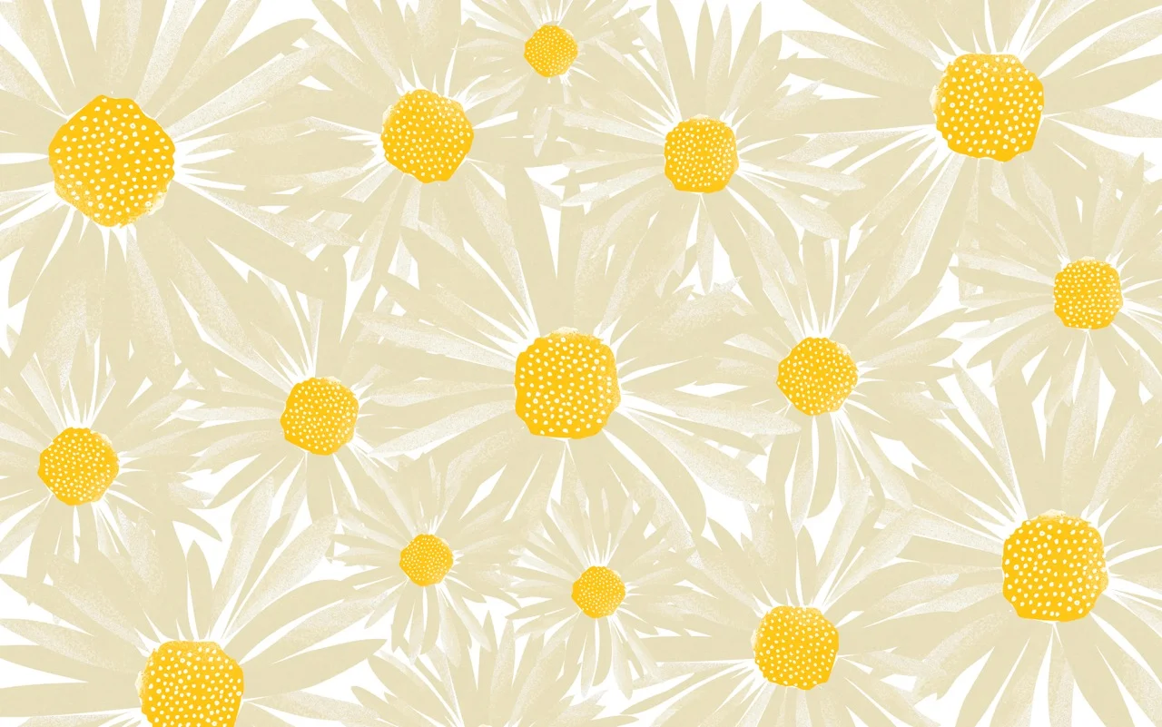 CWILP__daisies-01.jpeg